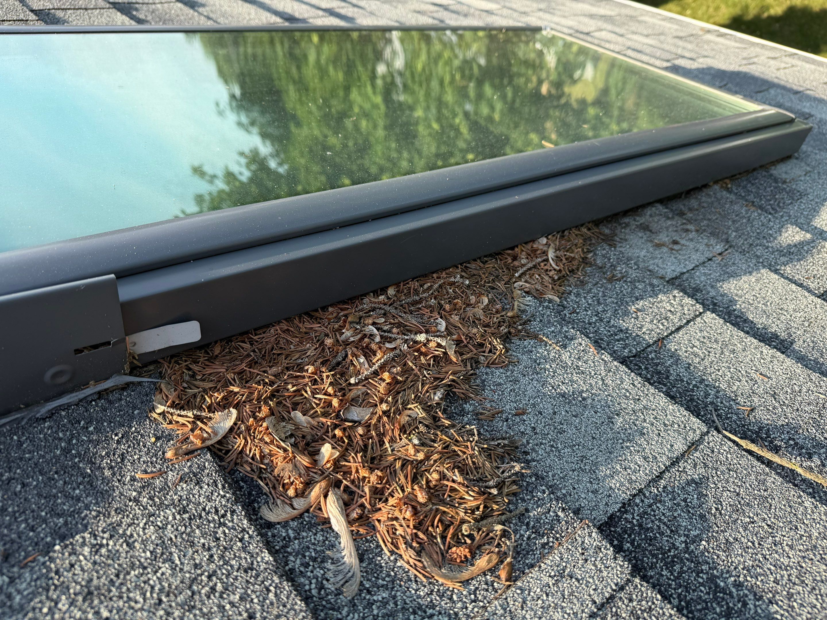 Skylight Leak Repair & Interior Restoration by Mighty Dog Roofing of Greater Middlesex County