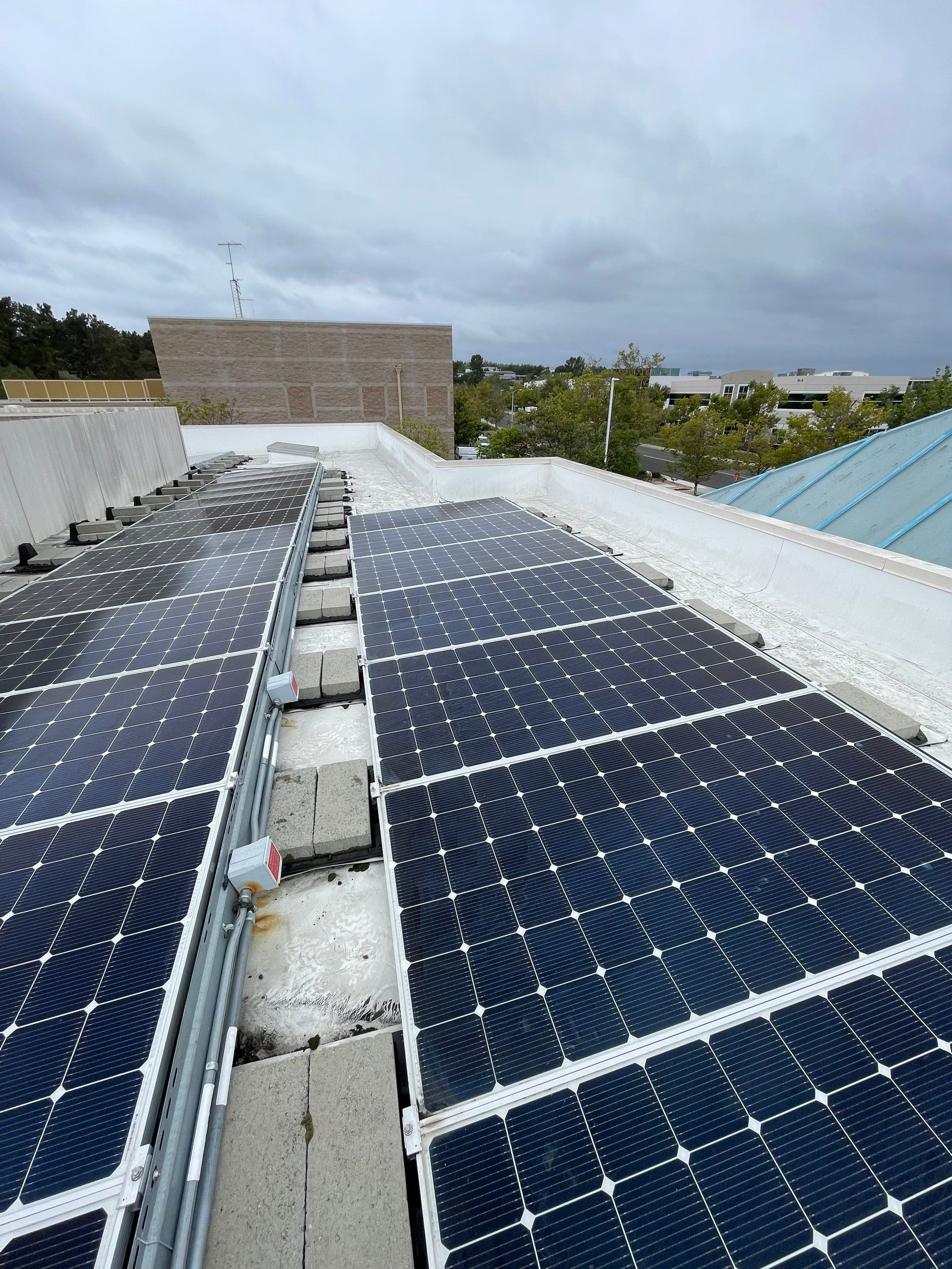 Commercial Solar Cleaning by Palm Coast Solar Cleaning