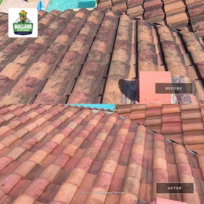 Tile Roof Cleaning in Windermere
