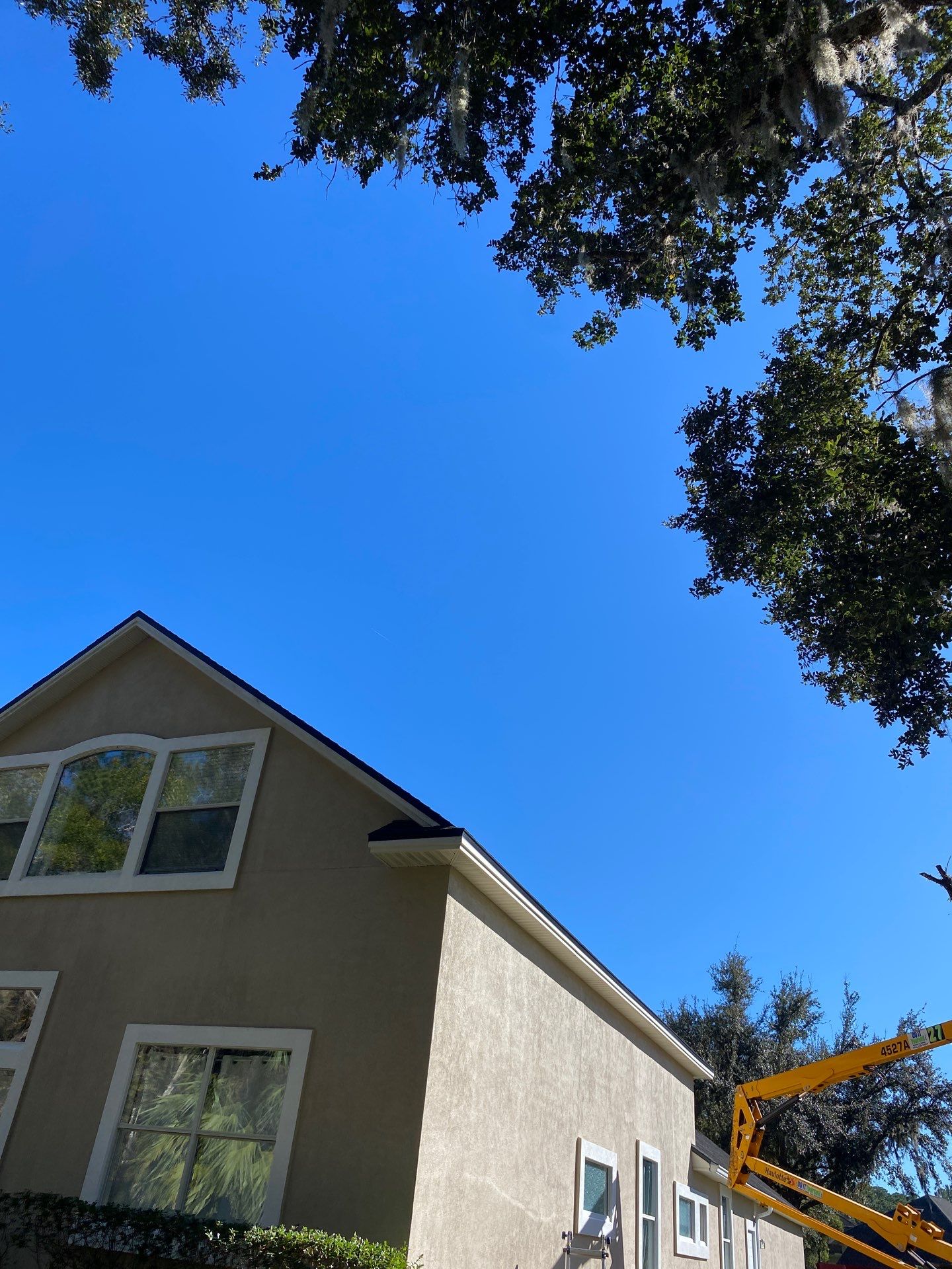 Residential | Tree Service by ProGreen Services