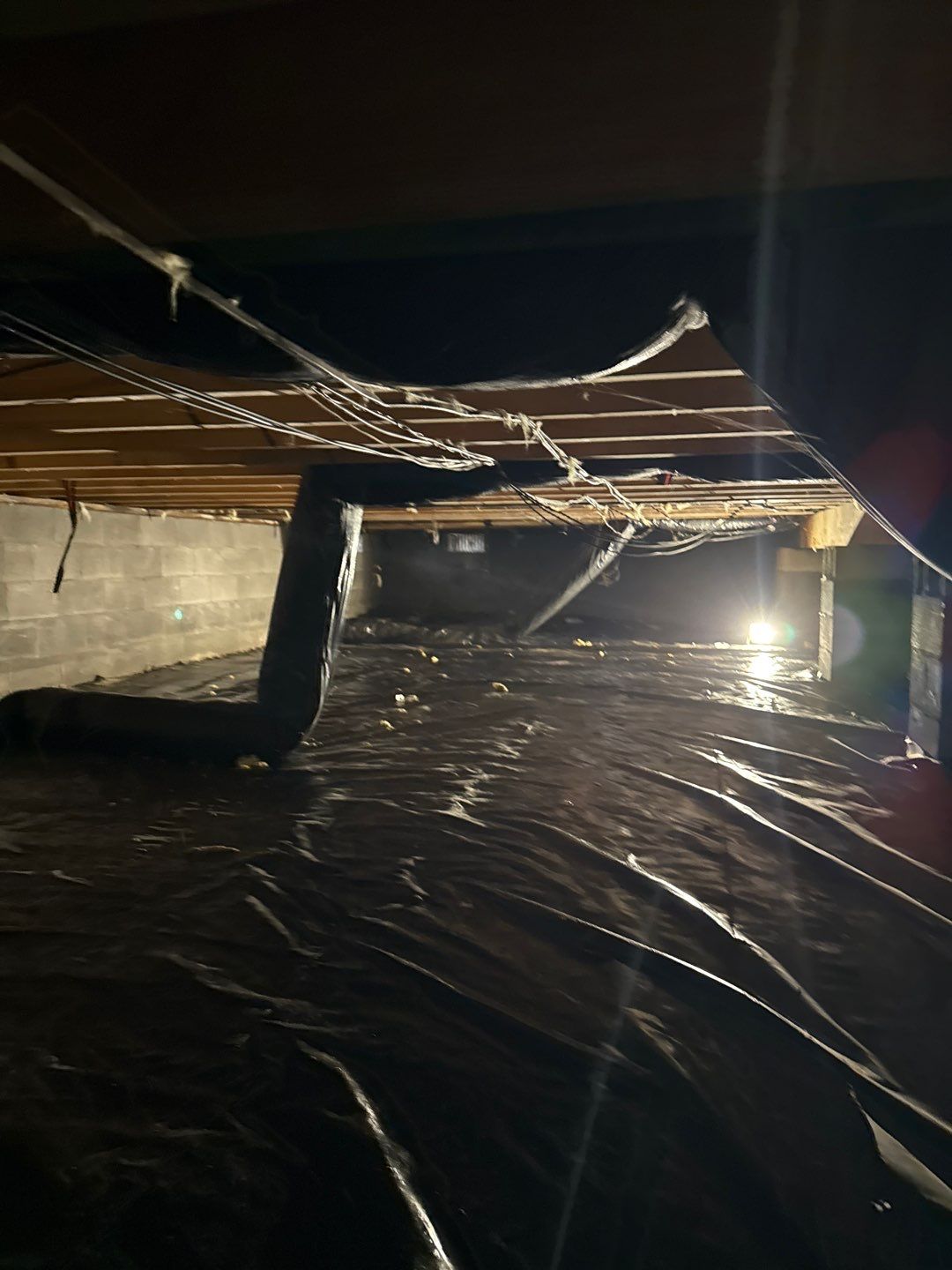 Water Damage& Mold Remediation Project-Dover, DE. by Healthy Home Solutions