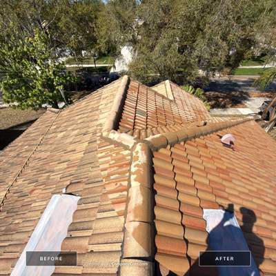Tile Roof Cleaning