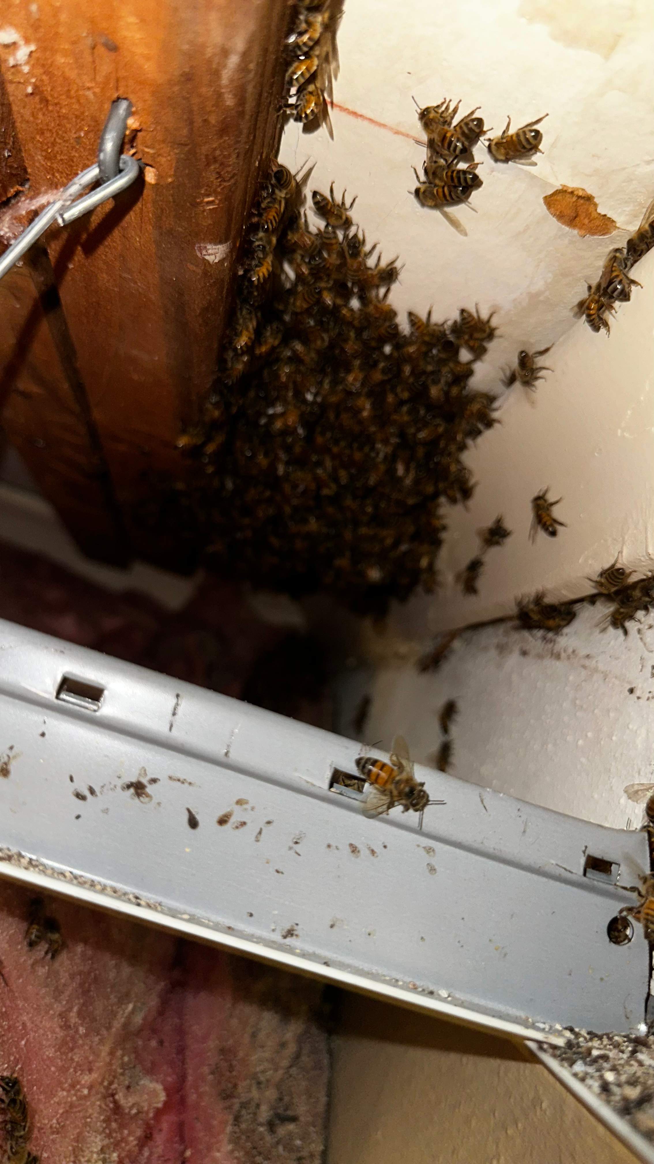 Church by Rockwall Honey Bee Company