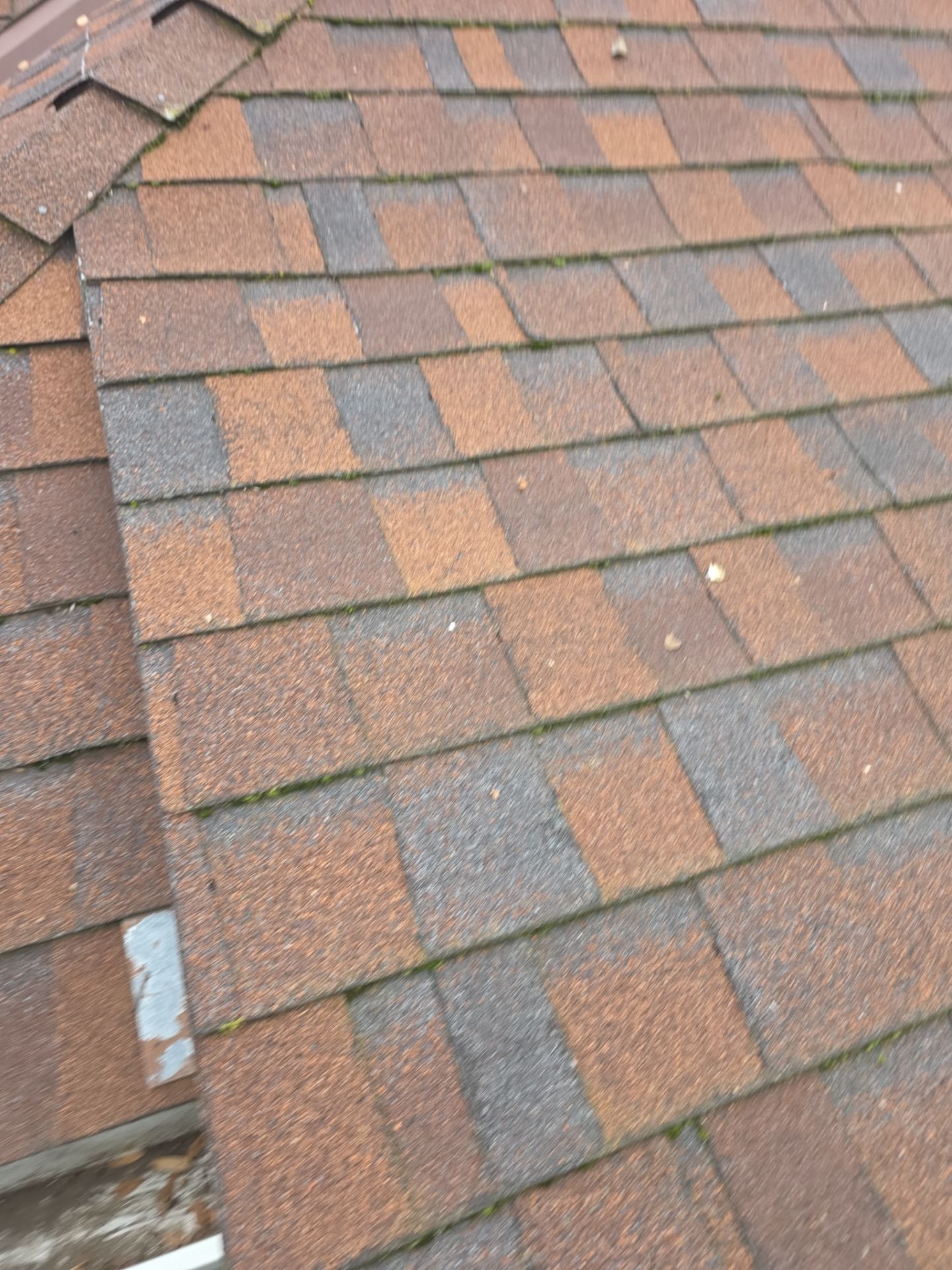 Roof Rejuvenation using Roof Maxx Treatment by Roof Maxx of Folsom