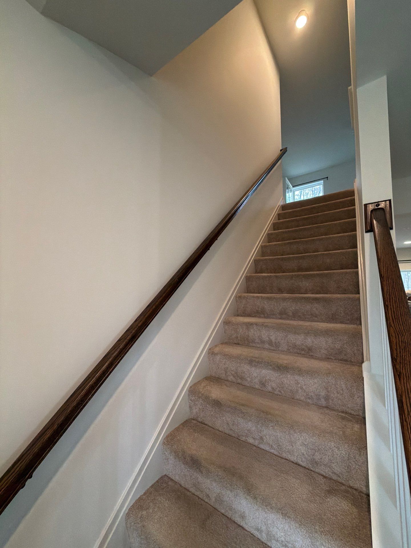 Whole-Home Interior Refresh in Malvern by Groovy Hues