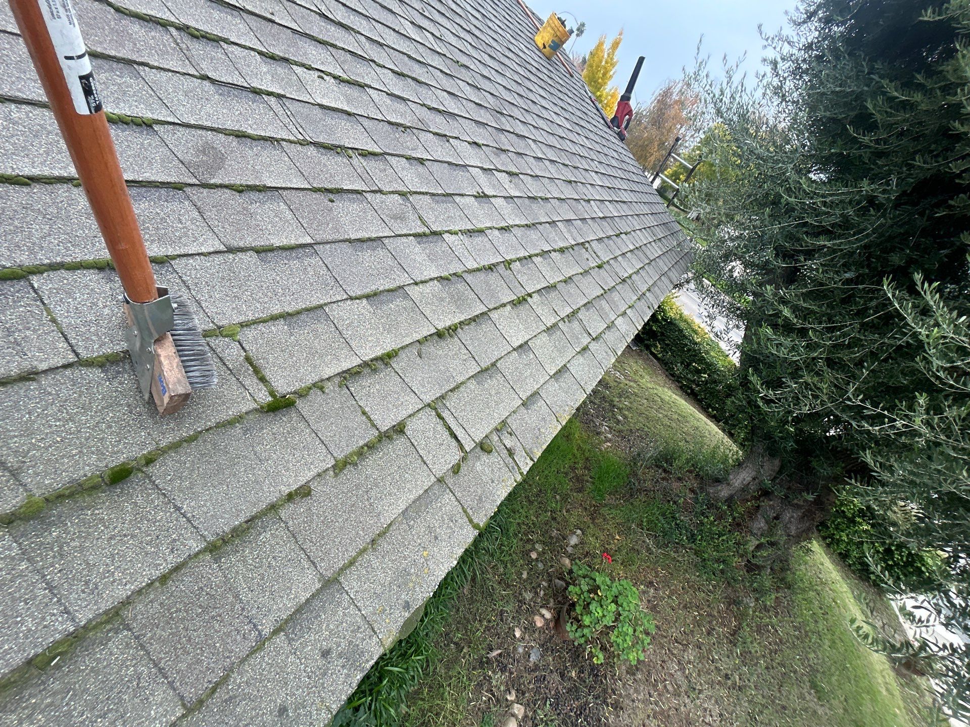 Roof Rejuvenation using Roof Maxx Treatment by Roof Maxx of Folsom