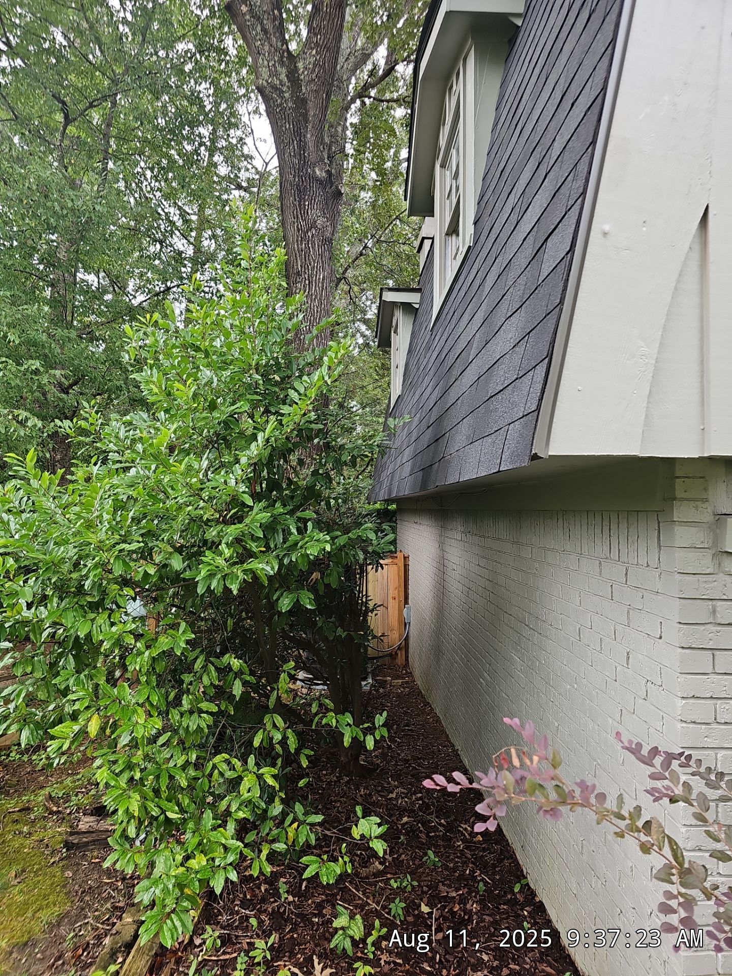 Howard- Project in Vestavia Hills by The Window Source