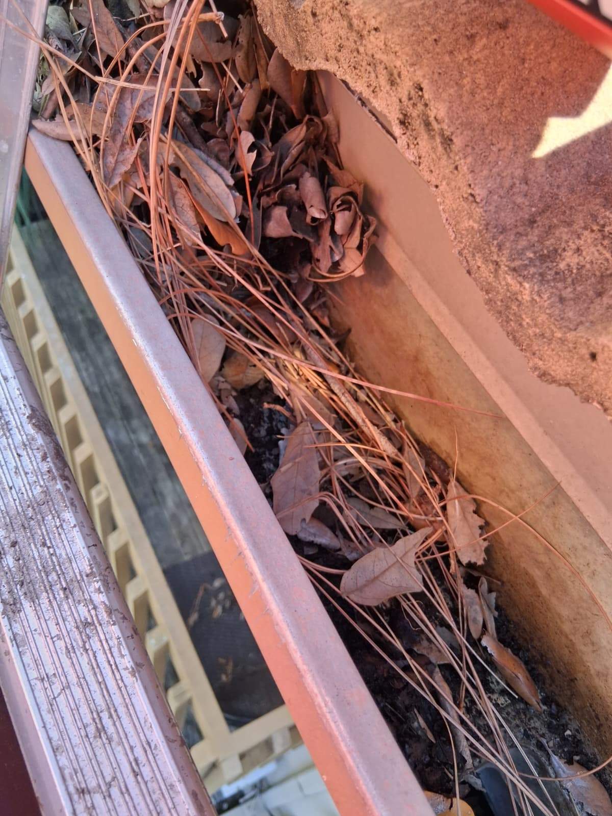 Gutter Cleaning Service in Sarasota FL by Gutter Professors