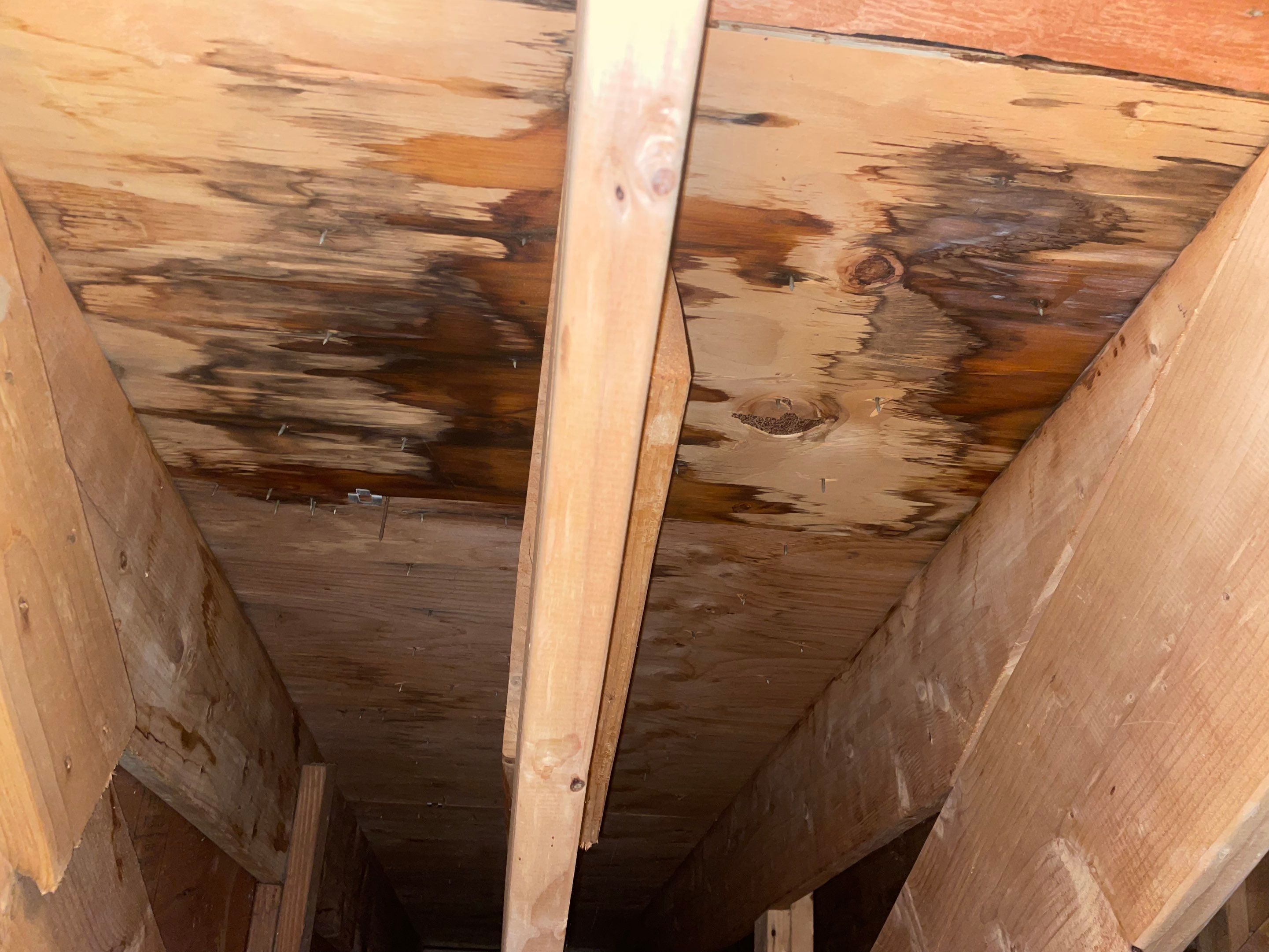 Residential Roofing Repairs by Noble Roof and Remodel LLC