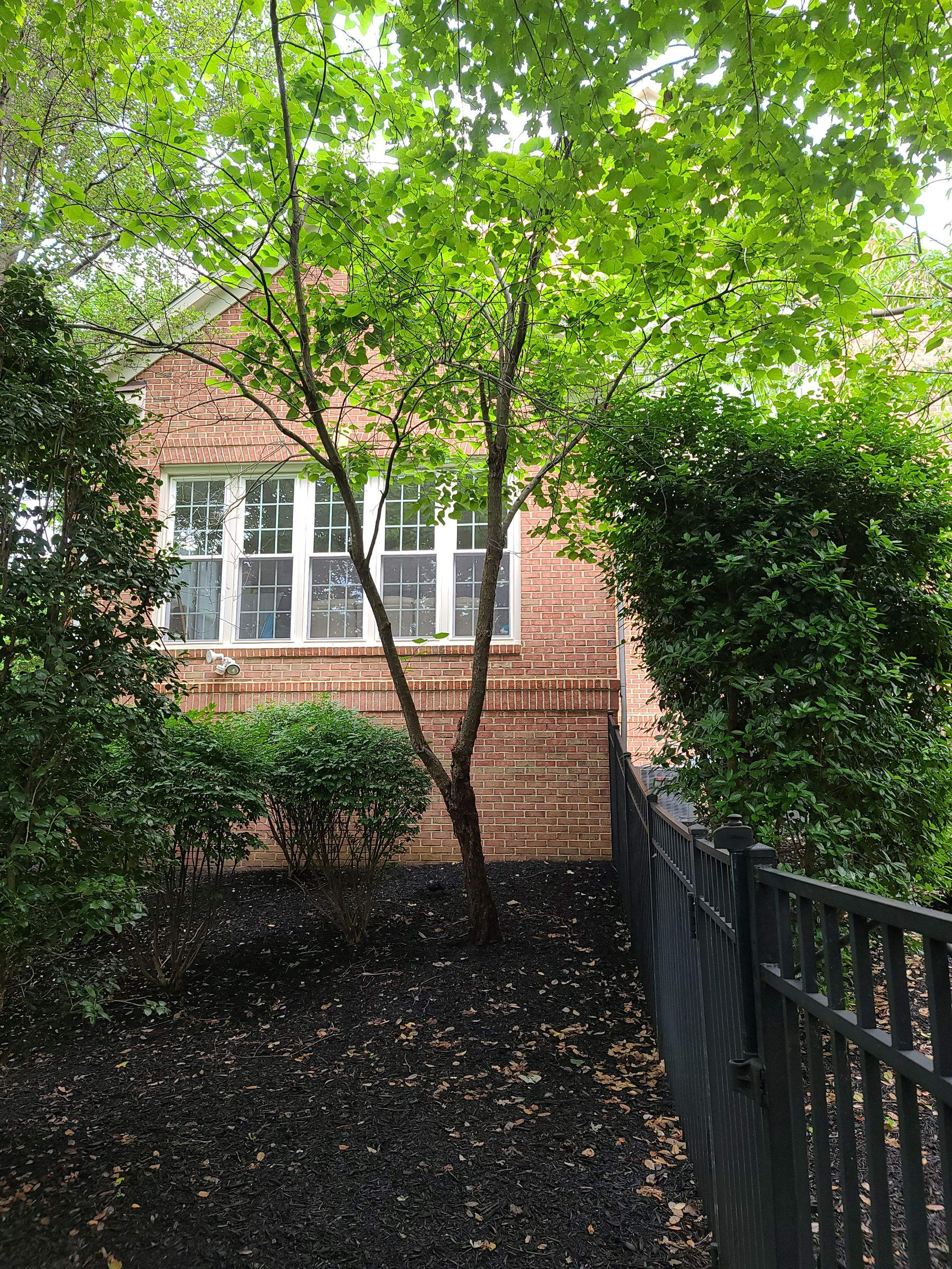 Siding, gutter and window installation by Window Depot of Annapolis