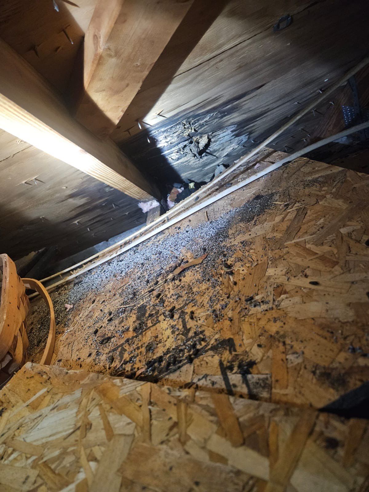 Repair Photos by Four Peaks Roofing