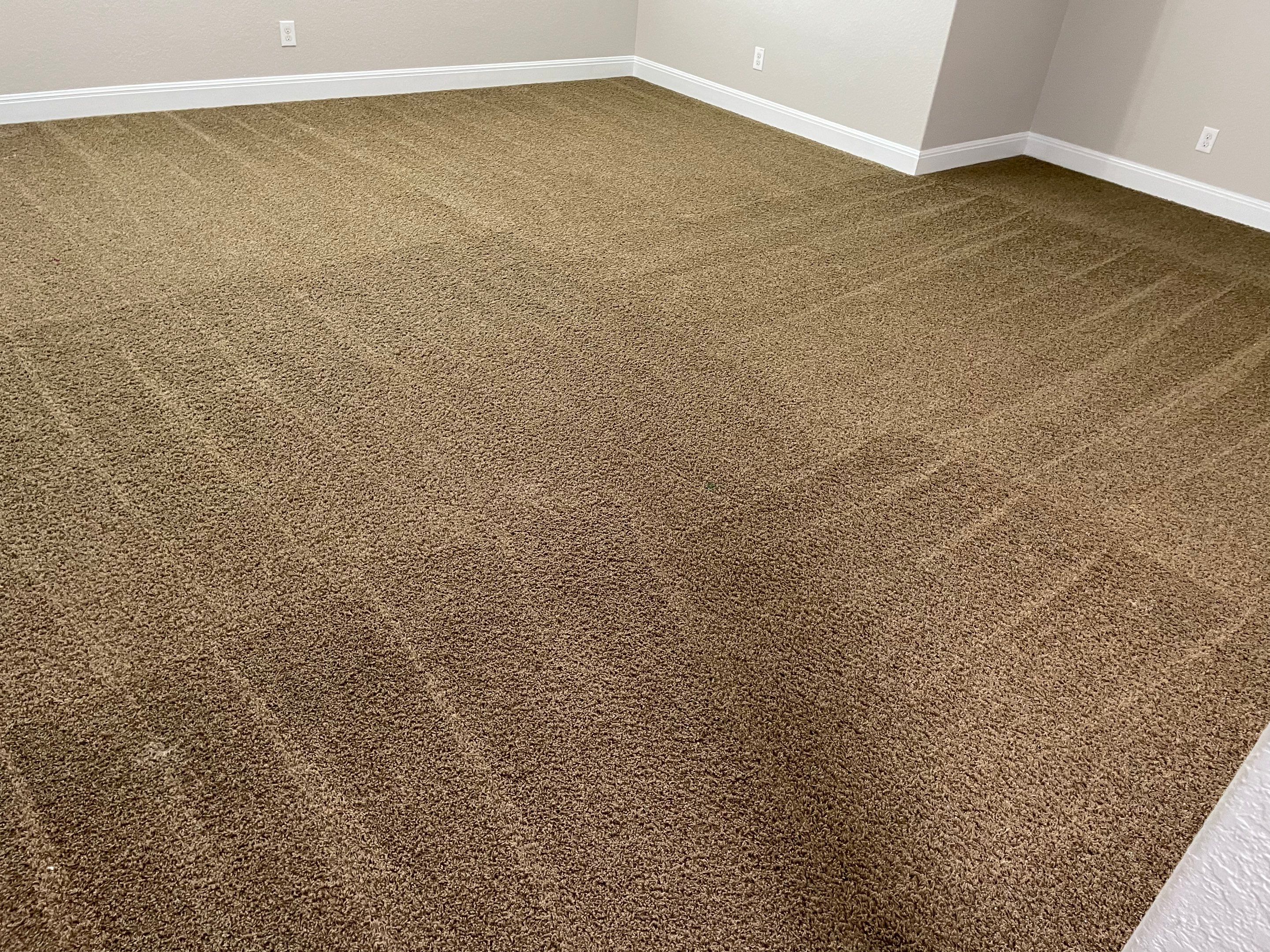 carpet cleaning service creating clean lines on carpet in a room indicating thorough deep cleaning has been done