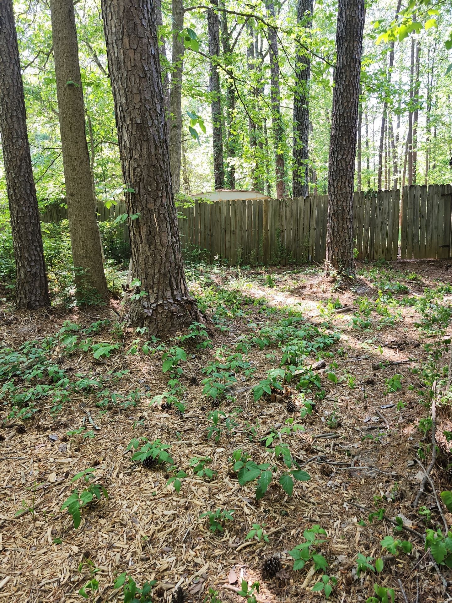 Project in Fayetteville, GA by Task Masters Handyman Services, LLC
