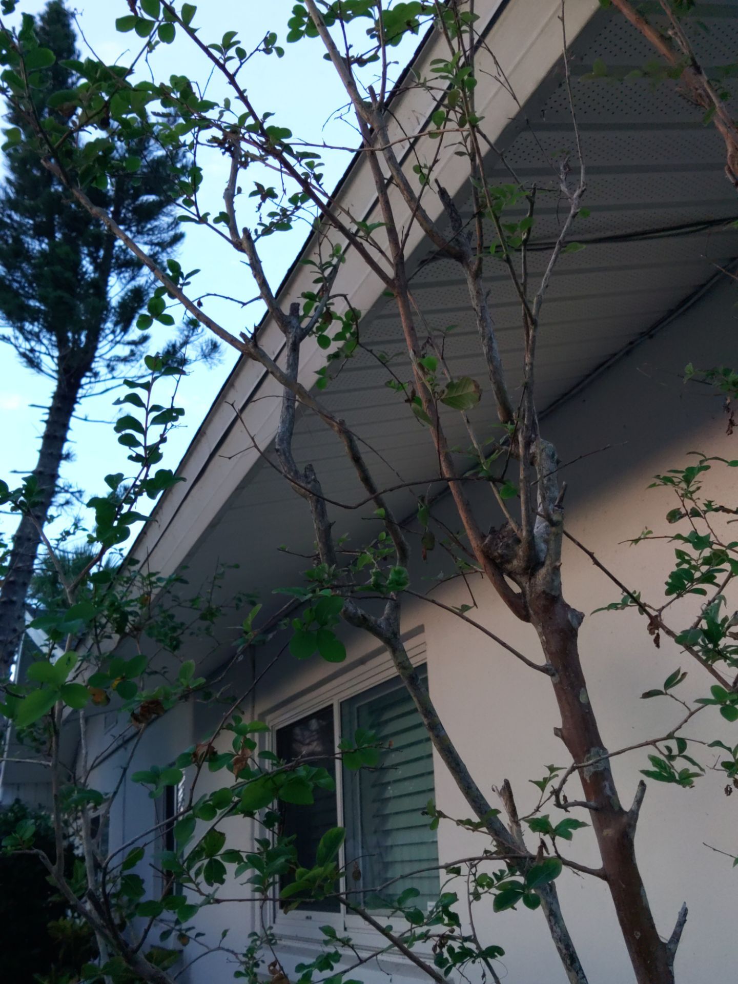 Soffit White Vinyl Installation FL by Gutter Professors