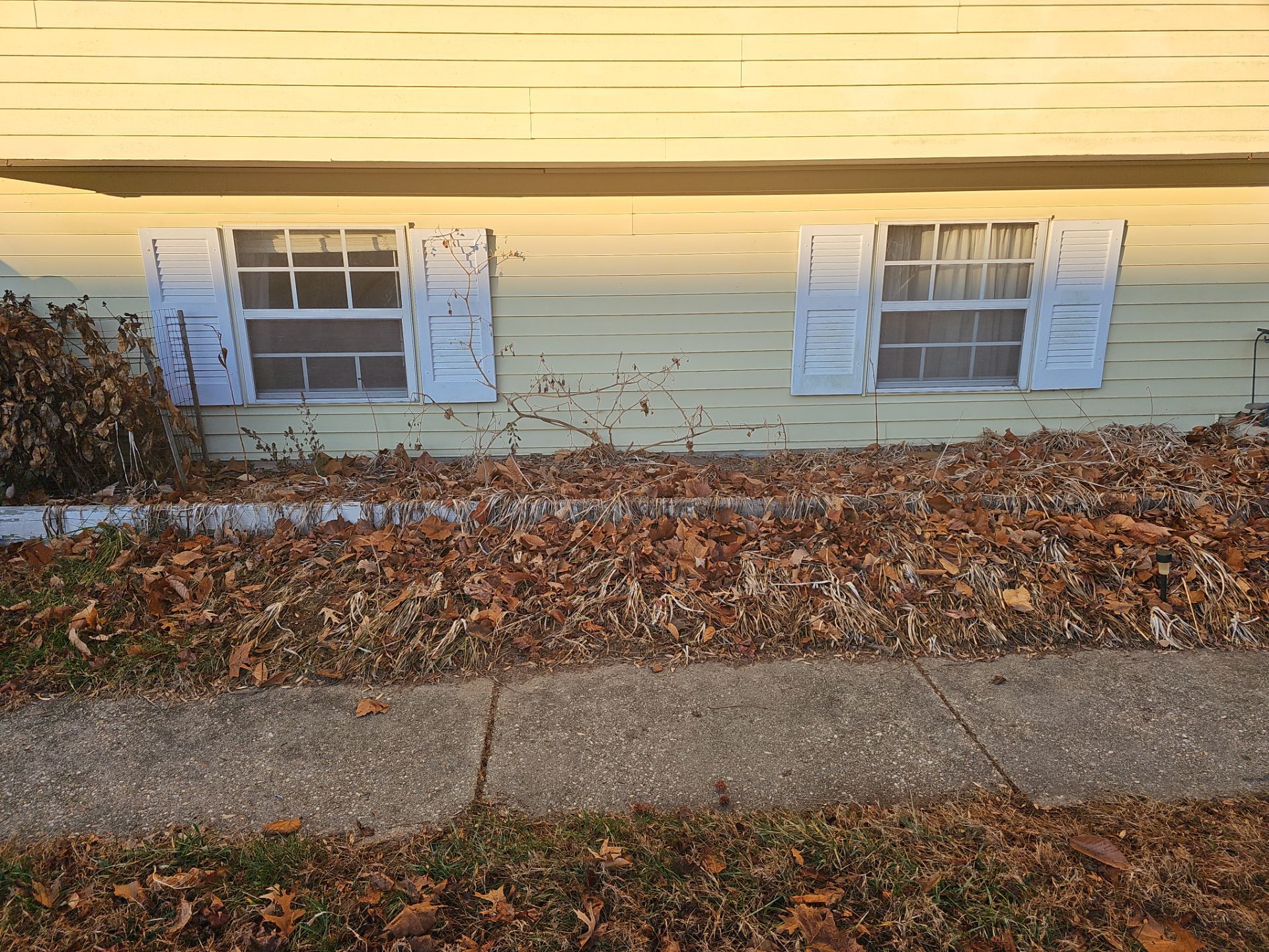 Window replacement by Window Depot of Annapolis