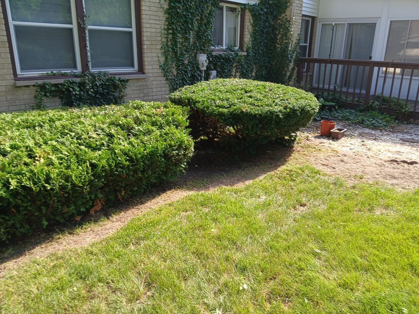 Andrew L. - Arlington Heights, IL by A&N