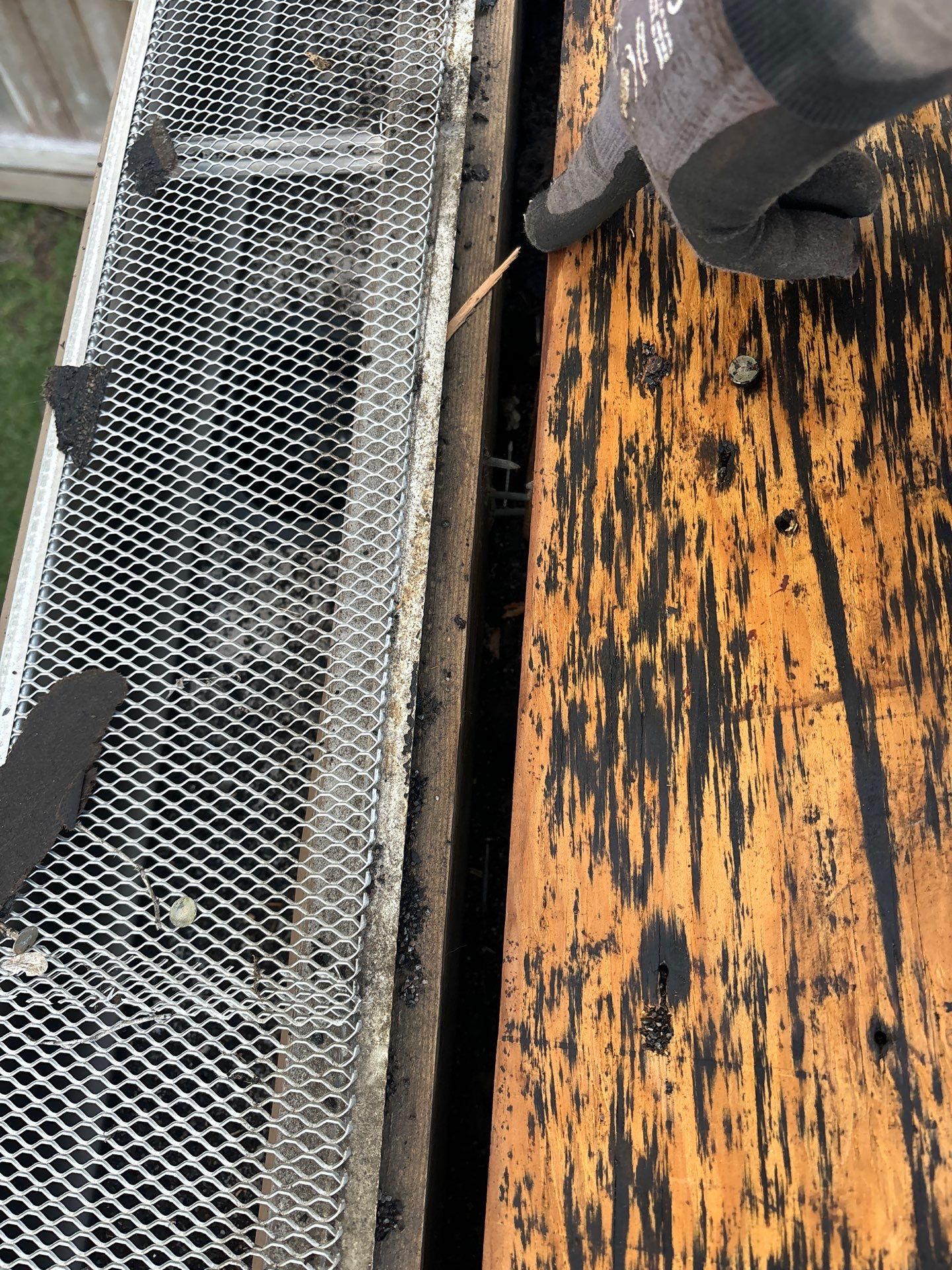 Roof Replacement Houston by Roof Repair Services LLC