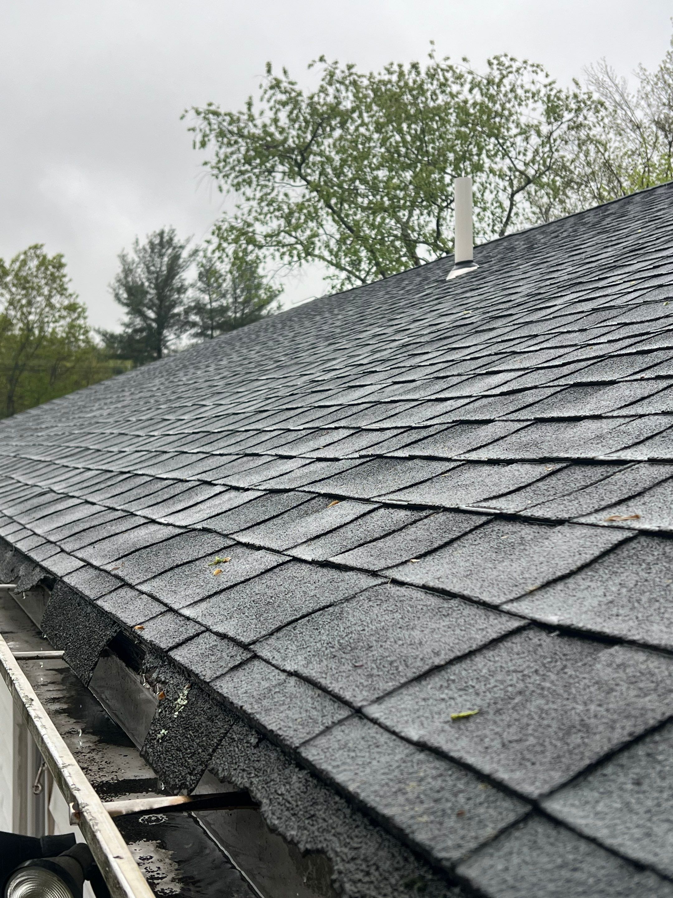 Gutters & Roofing | Acton by Mighty Dog Roofing of Greater Middlesex County