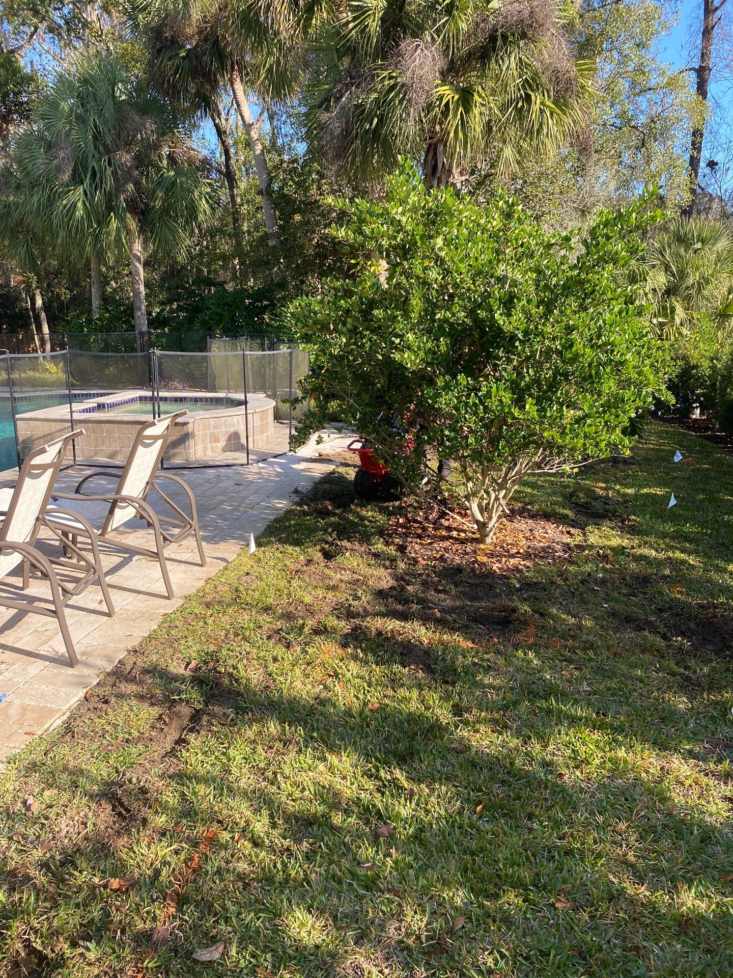 Deerwood Resident | Freshen Up Project by ProGreen Services