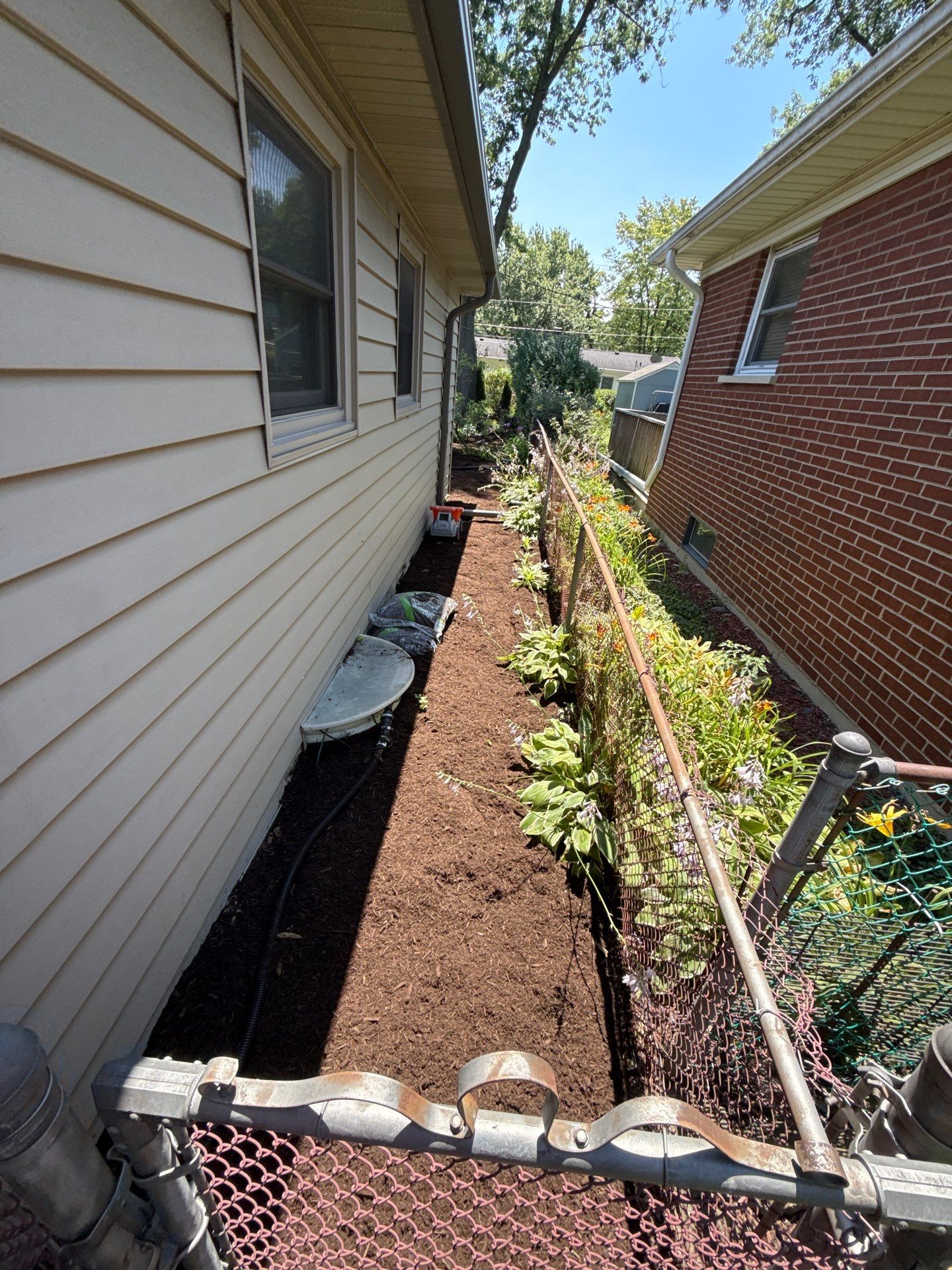 Gina K. - Mount Prospect, IL by A&N 