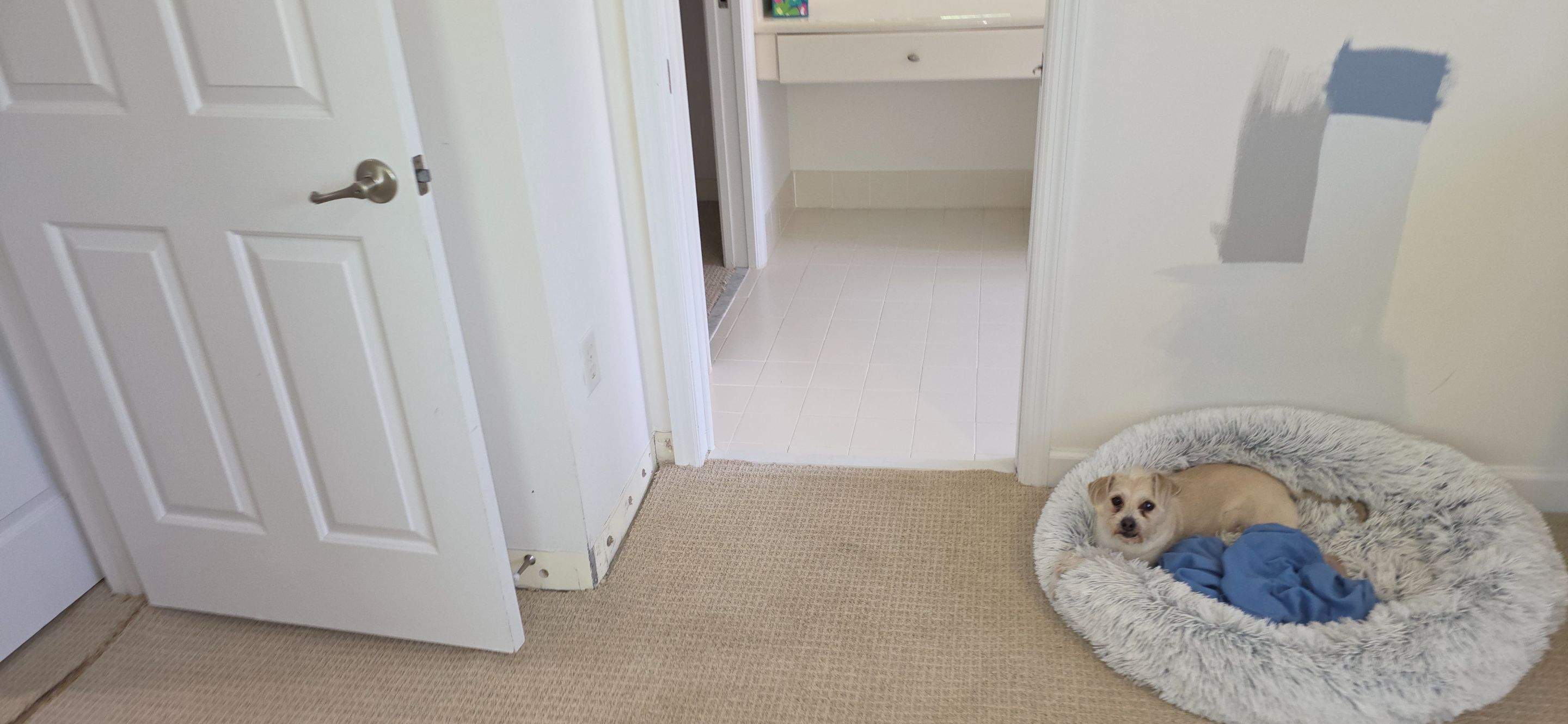 Water Damage Claim in Palm Beach Gardens by FLAPA & KeyStone