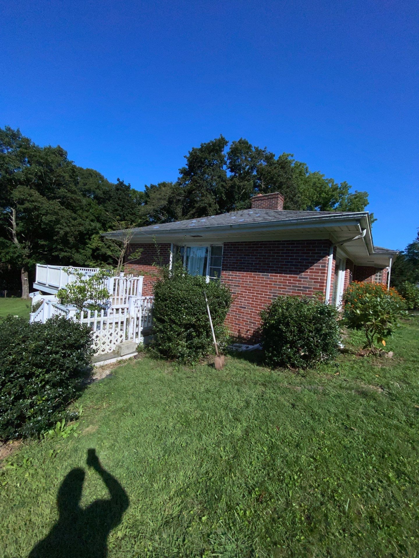Silver Birch Shingles by Reimagine Roofing