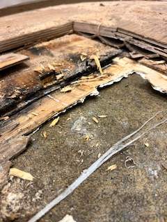 Water Damage from next door unit by Newhouse Restoration