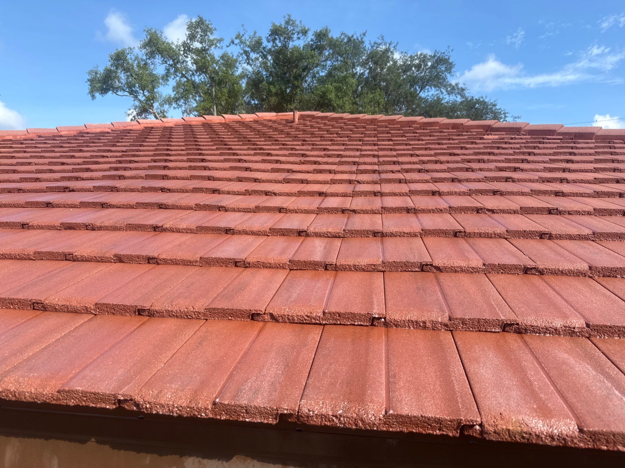 Tile Roof, Driveway & Patio Cleaning – Vivienda at Bradenton I by Sunshine AquaWash