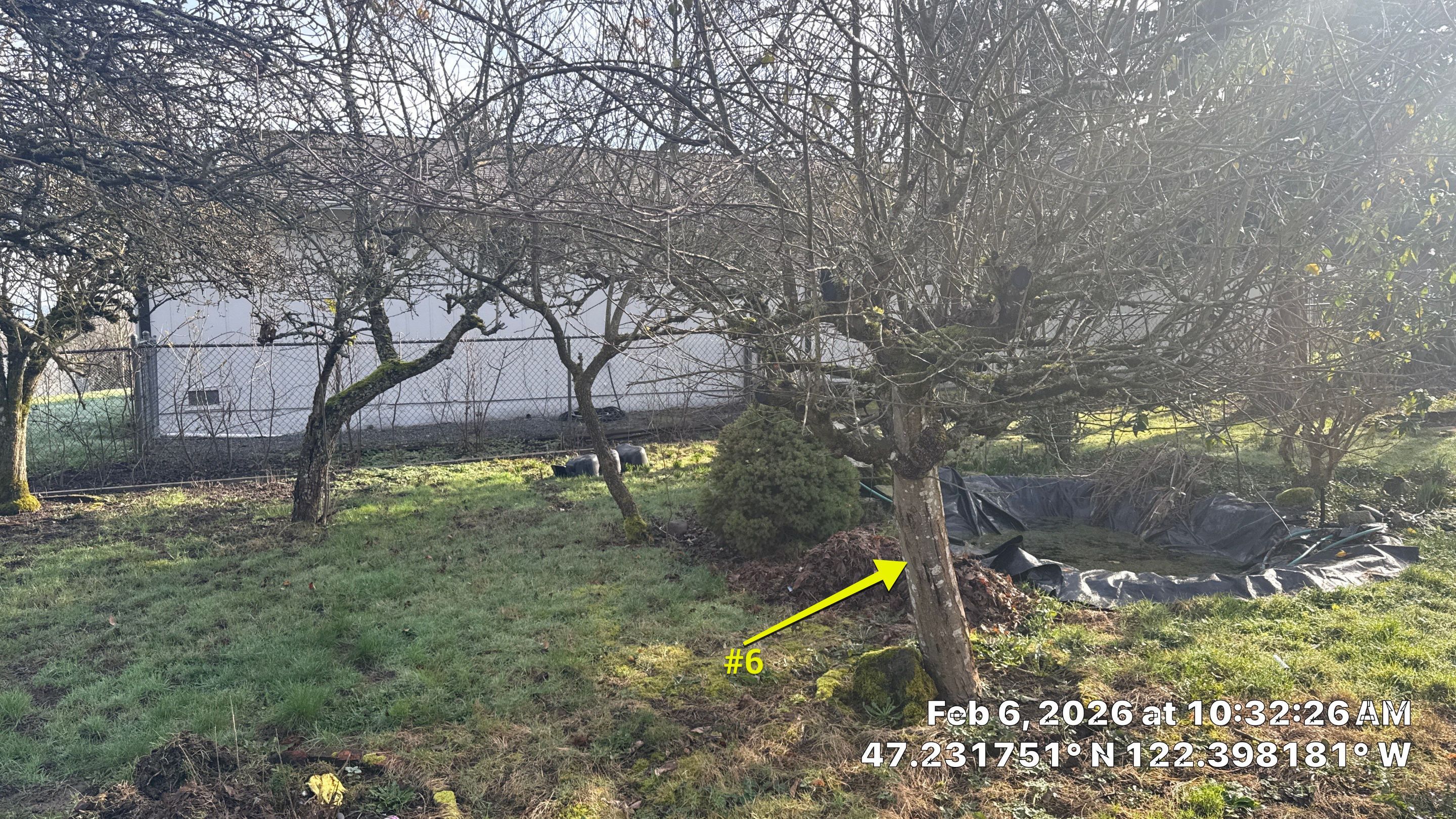 Arborist Development Report for Proposed Site Improvements – Tacoma, WA by Sound Tree Care LLC