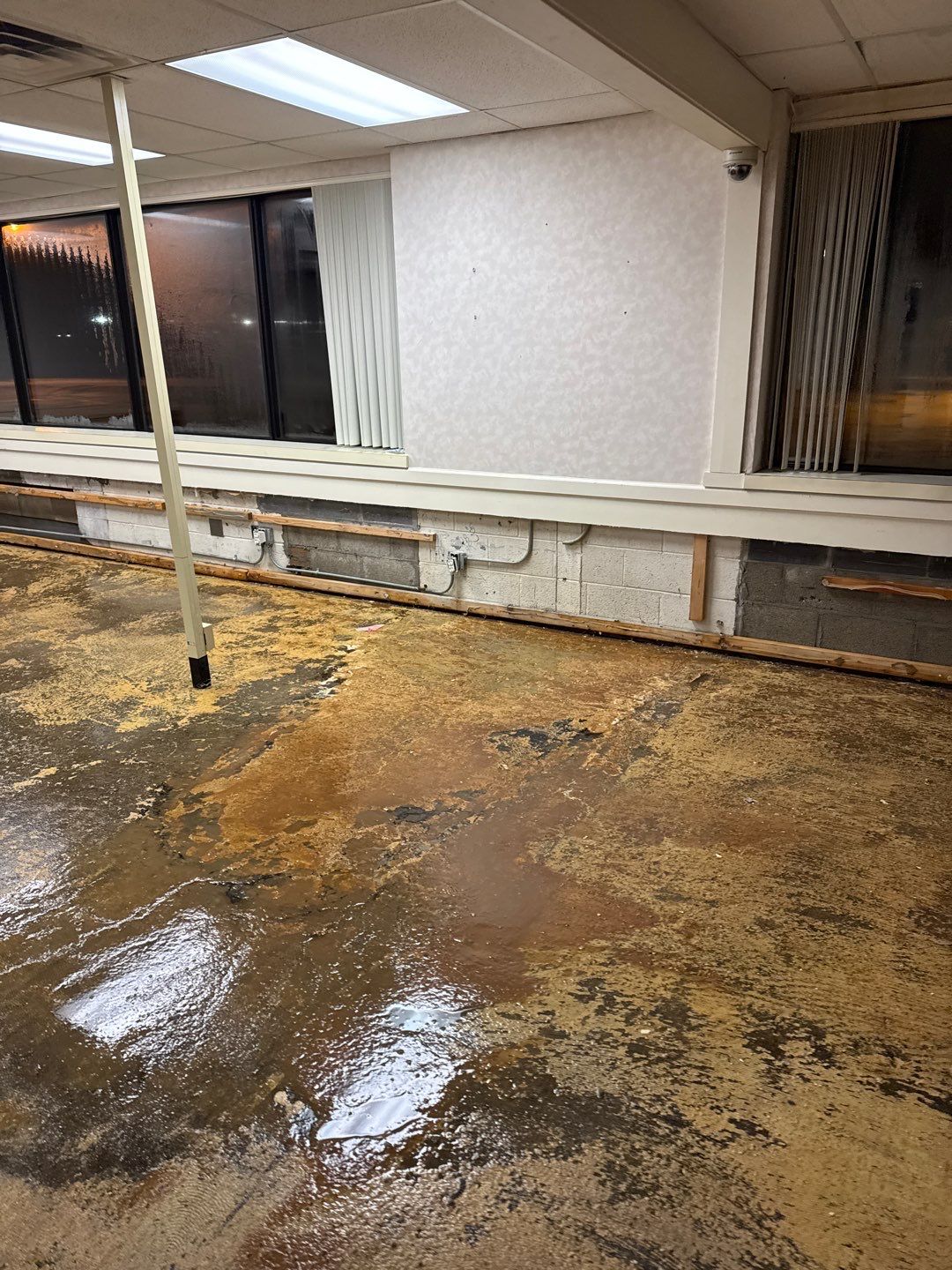 Project in Warren by EzDry Water Mitigation & Property Restoration