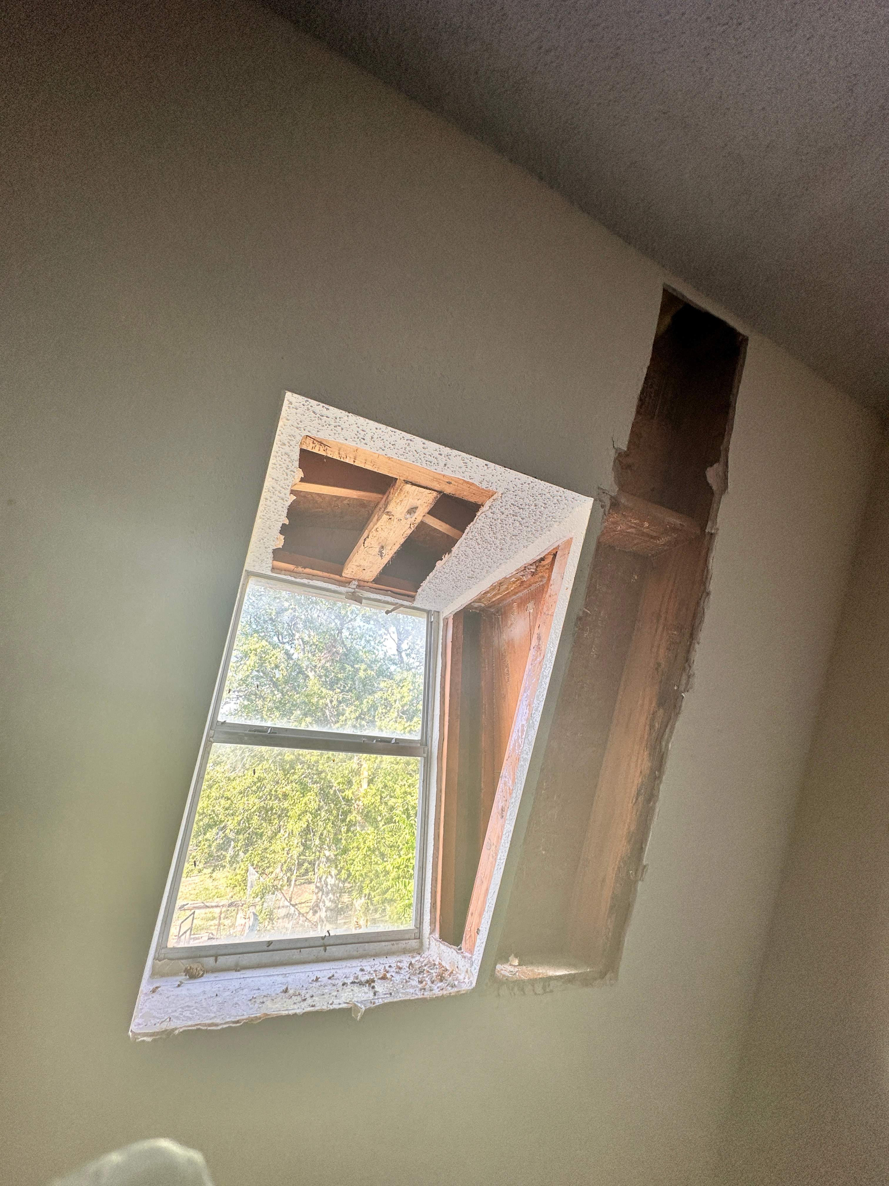 Sheetrock Bees by Rockwall Honey Bee Company