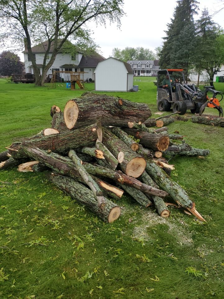 Tree Removal using Tree Removal by Mike Jones & Sons Tree Service LLC 