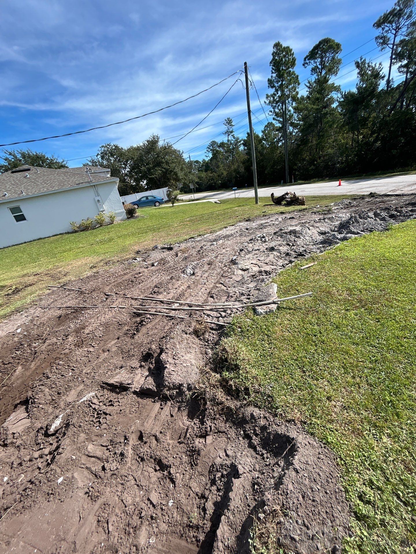 New concrete driveway by Courtesy screening