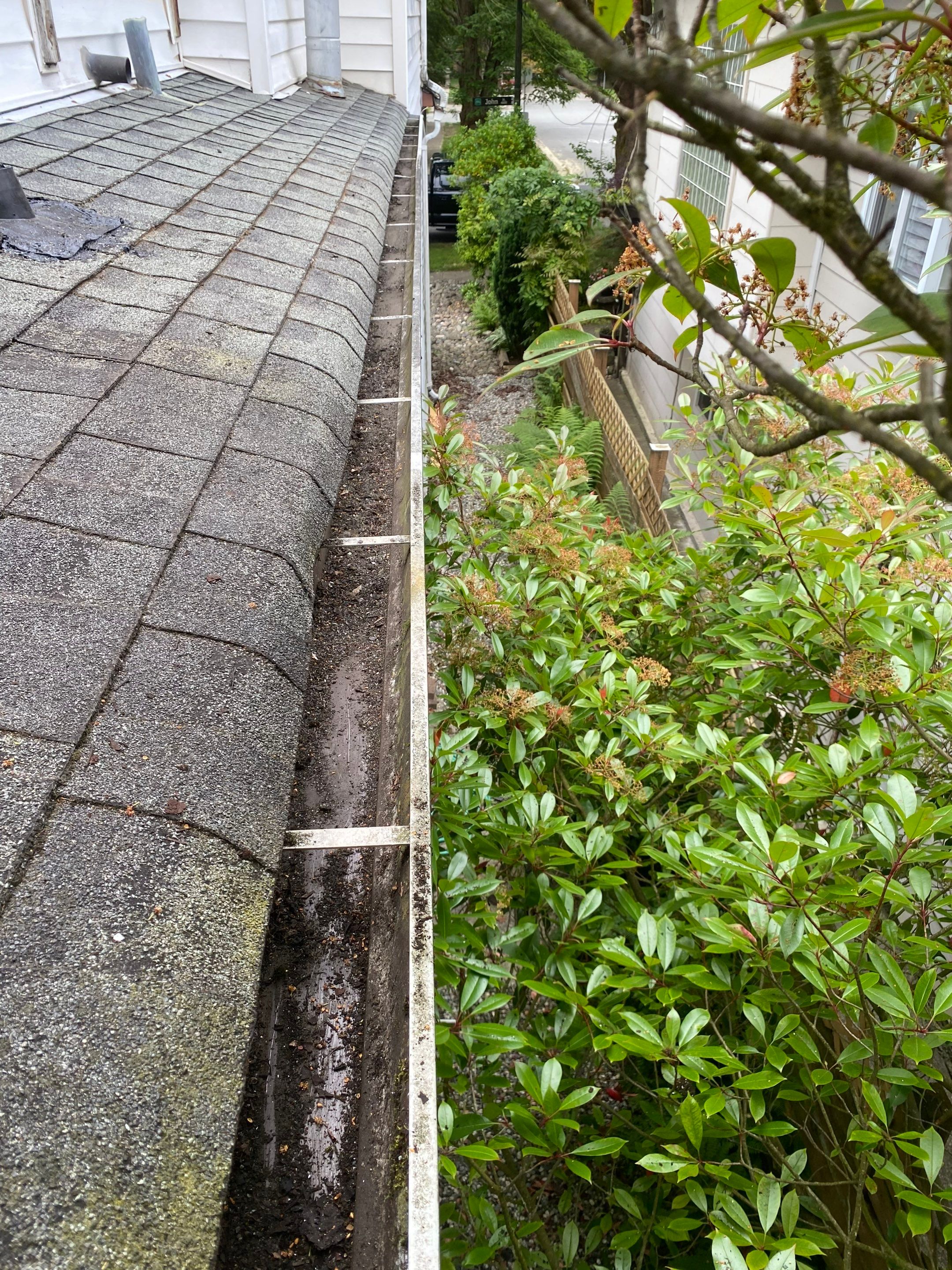 Soft Wash Shingles & Siding - Gutter Cleaning - Fascia Painting  by YVR Construction Group