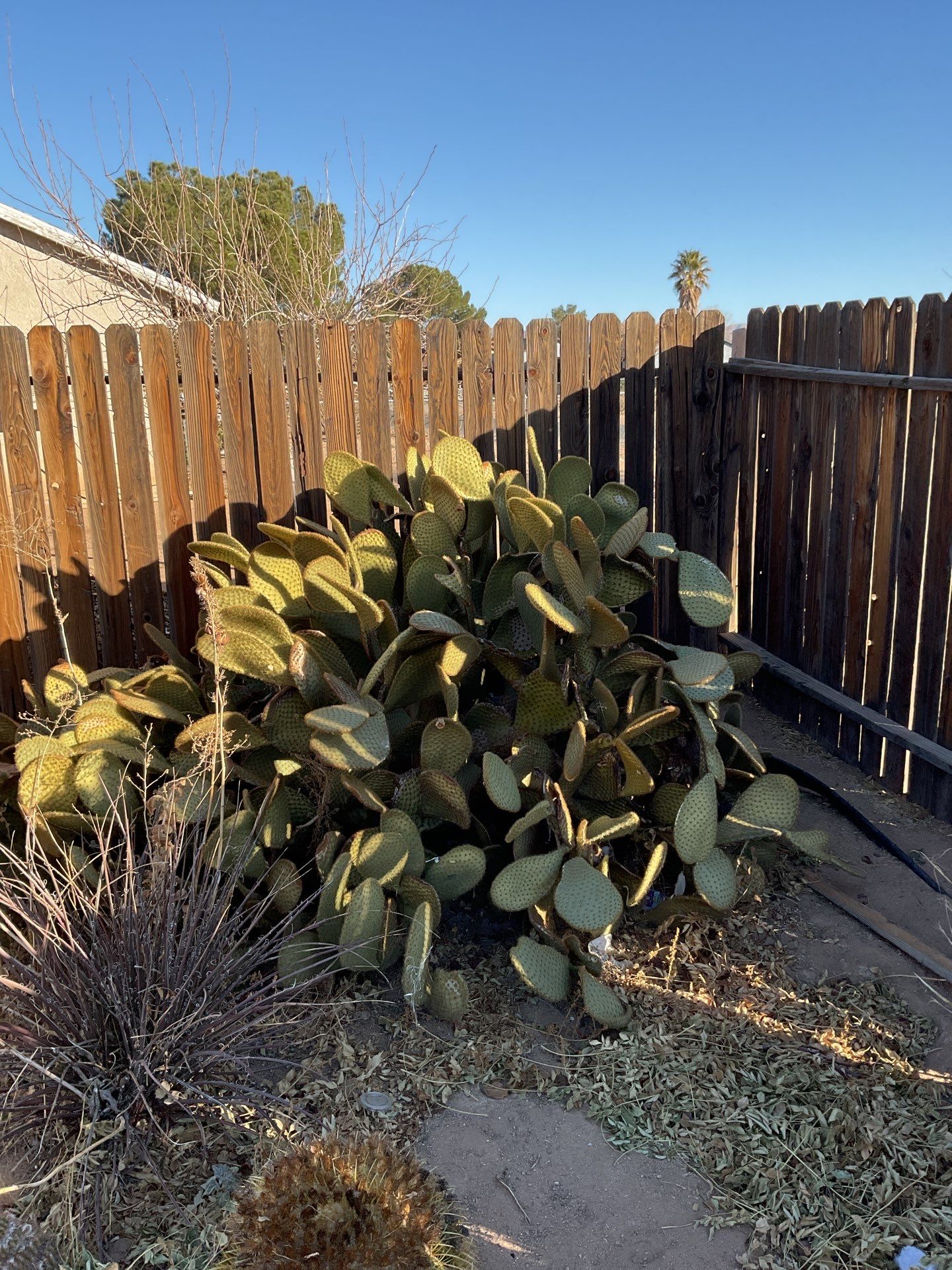 Fence Installation using Privacy Chain-link by Fence Guys Inc. 