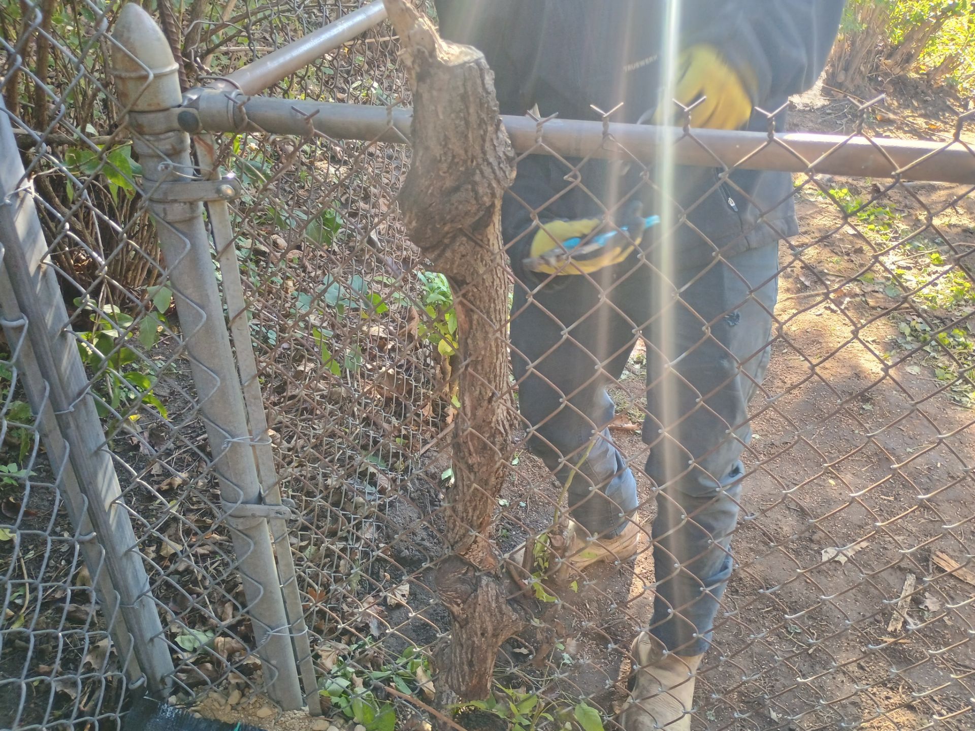 A French Drain for Jeniffer by Waterproofing Northeast