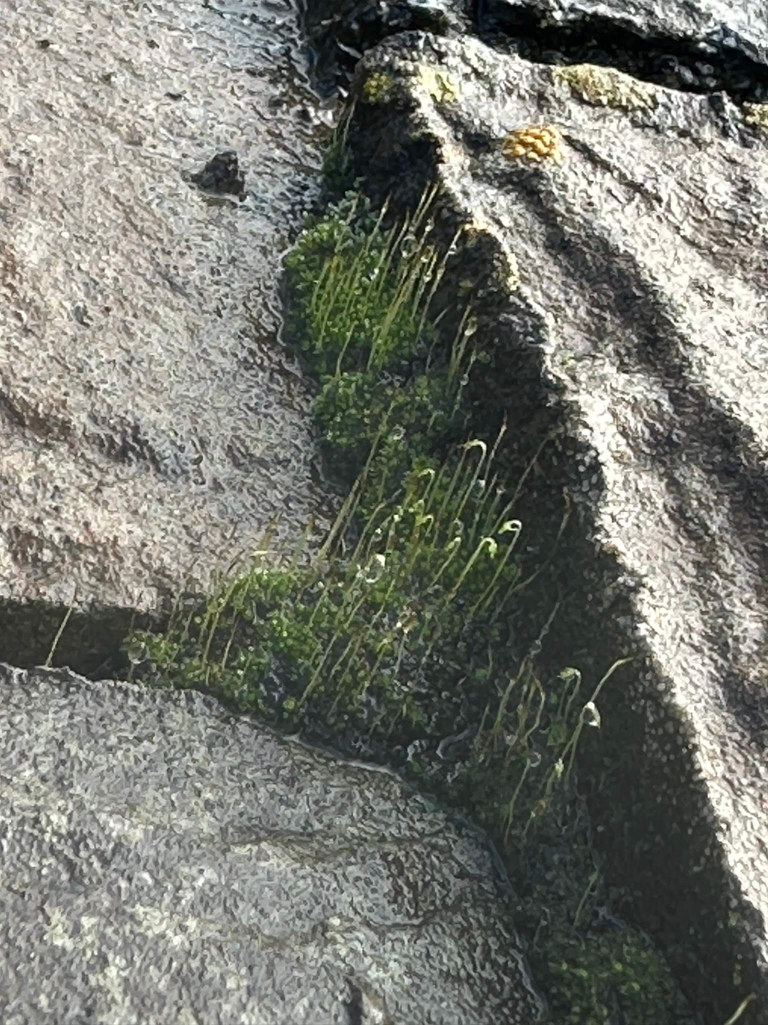 Orange County Gutter Cleaning in Wet Conditions by Property Cleaning Experts