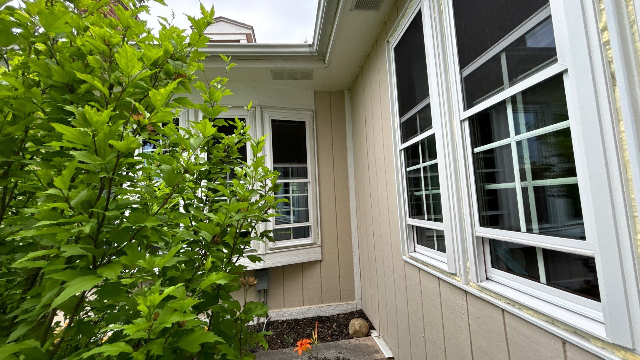 Siding Replacement using Alside Odyssey D4" by 180 Contractors