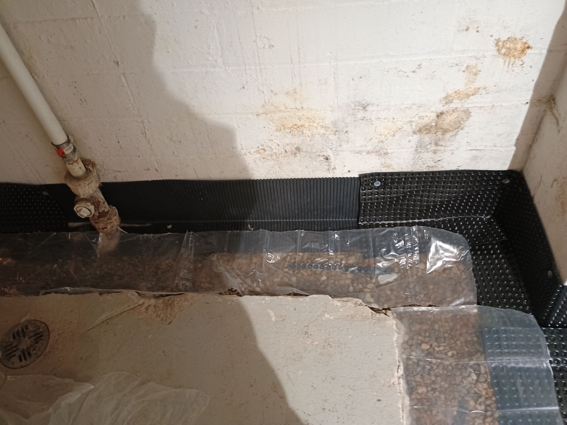 Abigail's New Home by Waterproofing Northeast