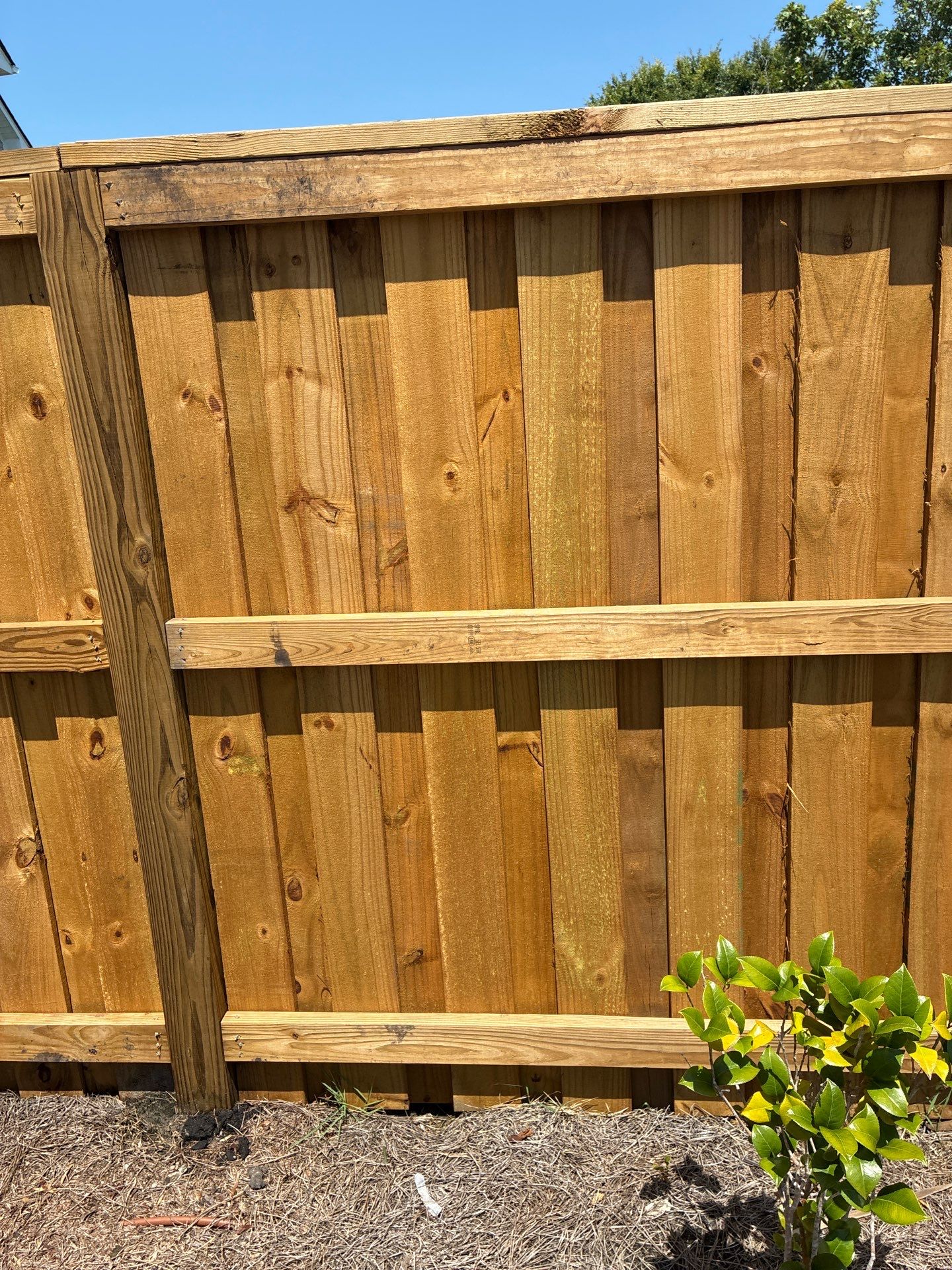 Fence using Wood Sealant by DuraSeal