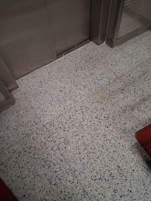 Commercial Medical Facility Flooring Repair