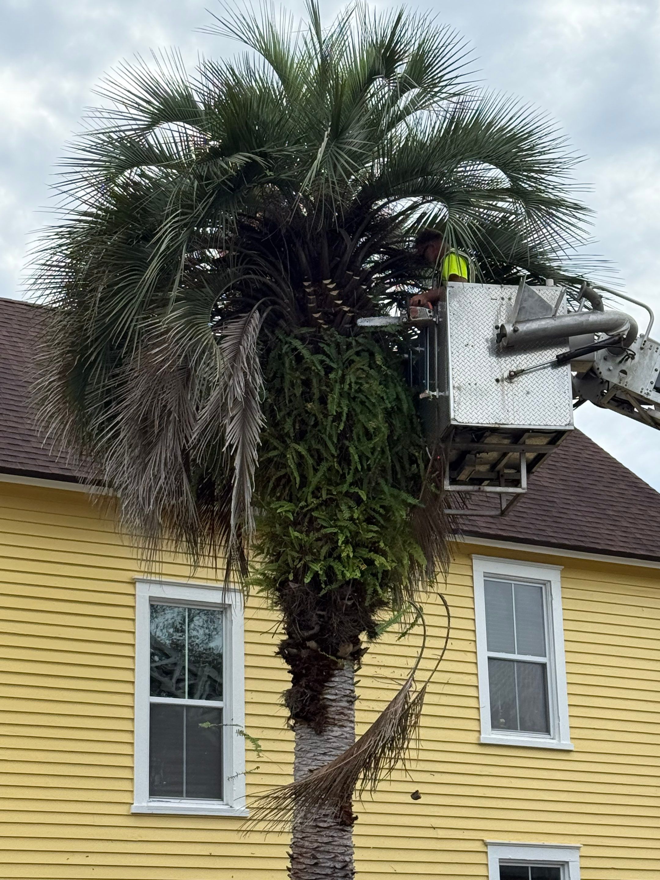 Volunteer Work | Episcopal High School of Jacksonville by ProGreen Services