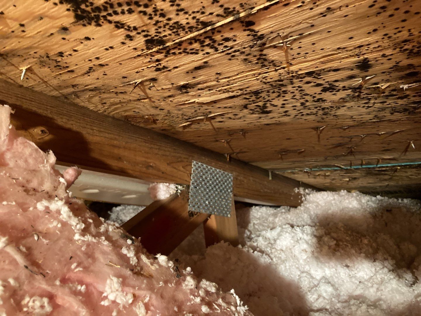 Mold Remediation in Attic by Accountable Home Services
