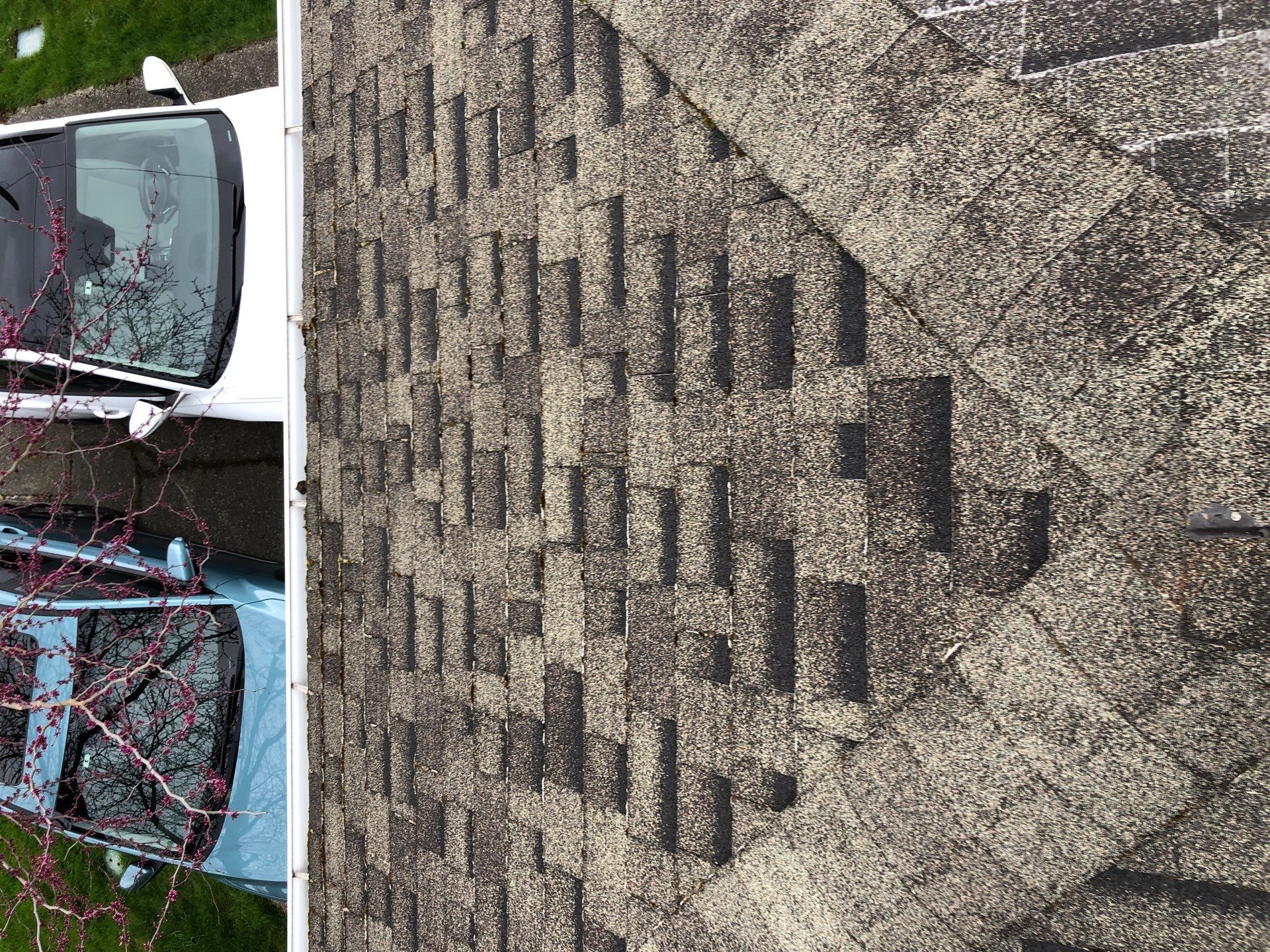 Project in Seattle by Connolly Construction Company