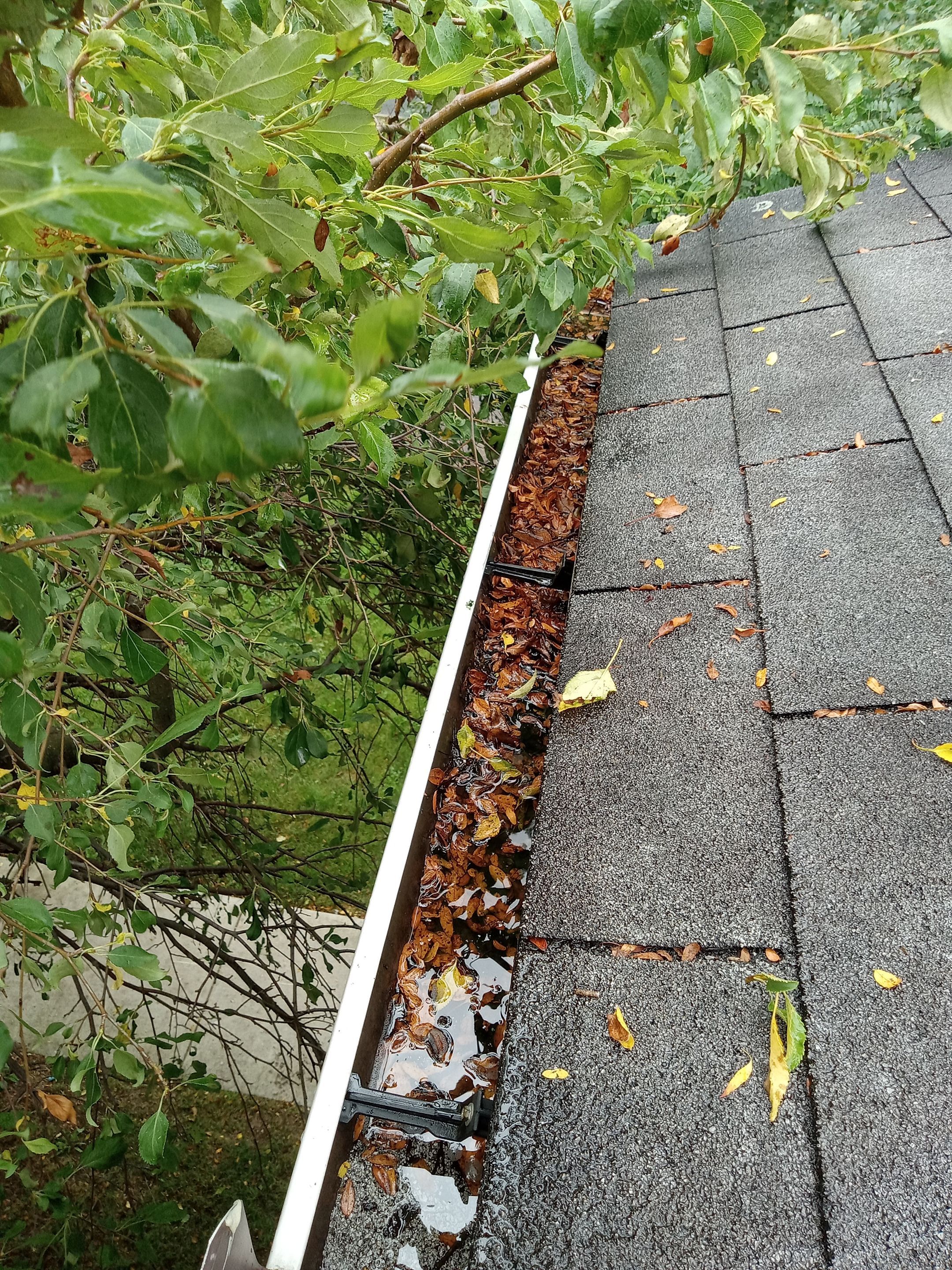 Commercial gutter cleaning Scranton & Wilkes-Barre, PA before photo with filled gutters