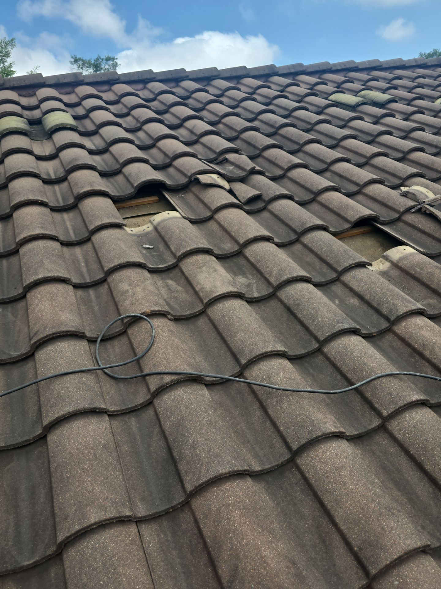 Roof Repair Spring by Roof Repair Company