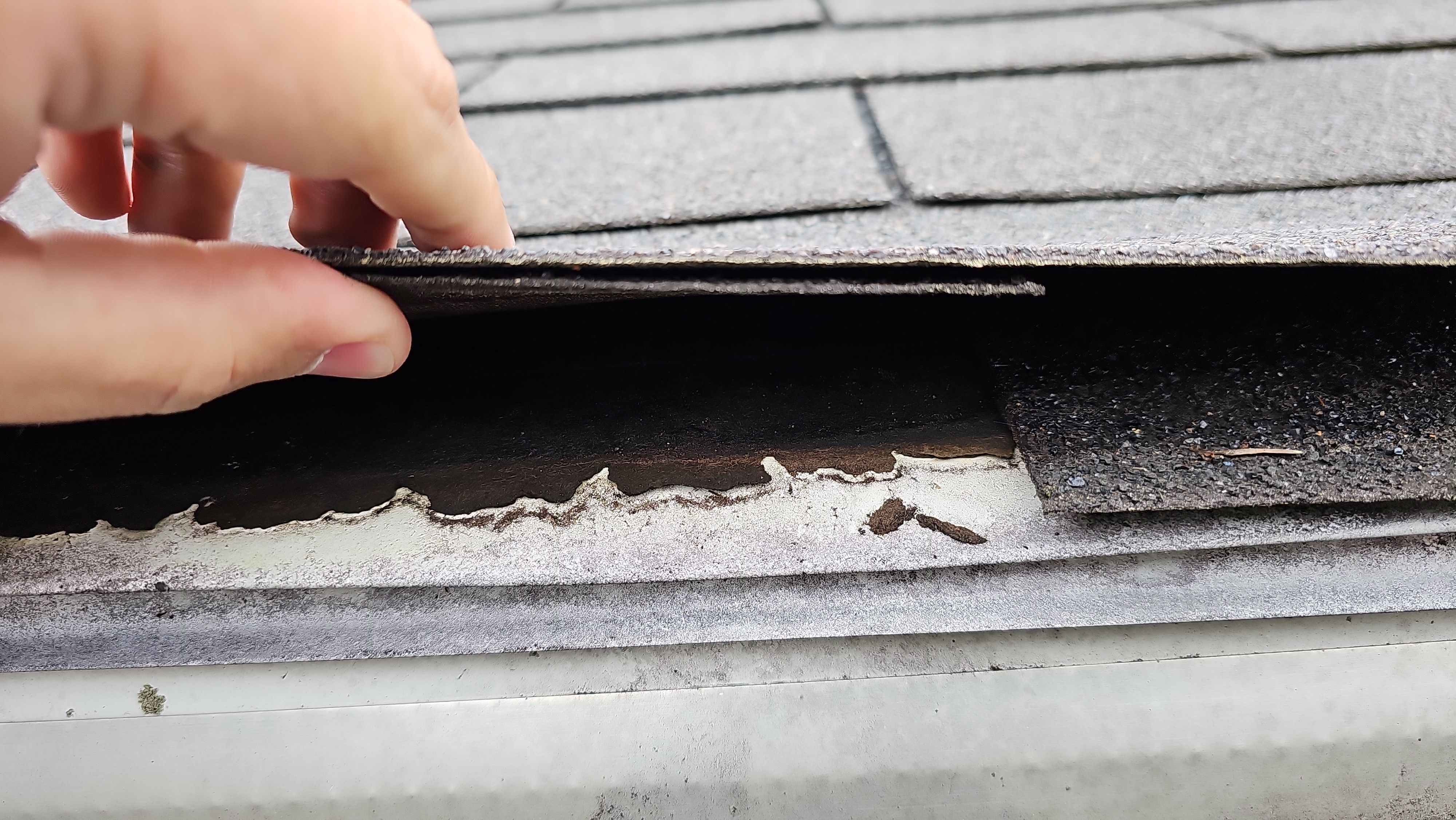 Atlas Pinnacle, Color, Black Shadow, Drip Edge, Color, Black by Eagle Eye Roofing
