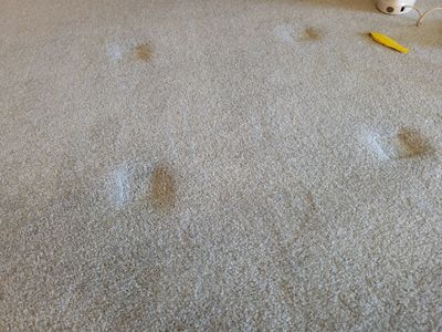 Furniture Impression Relief & Carpet Cleaning