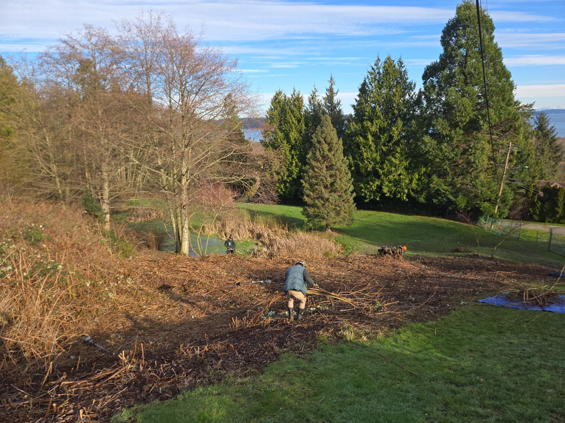 Island View - Ecological Restoration & Stewardship by Habanero Landscape Solutions