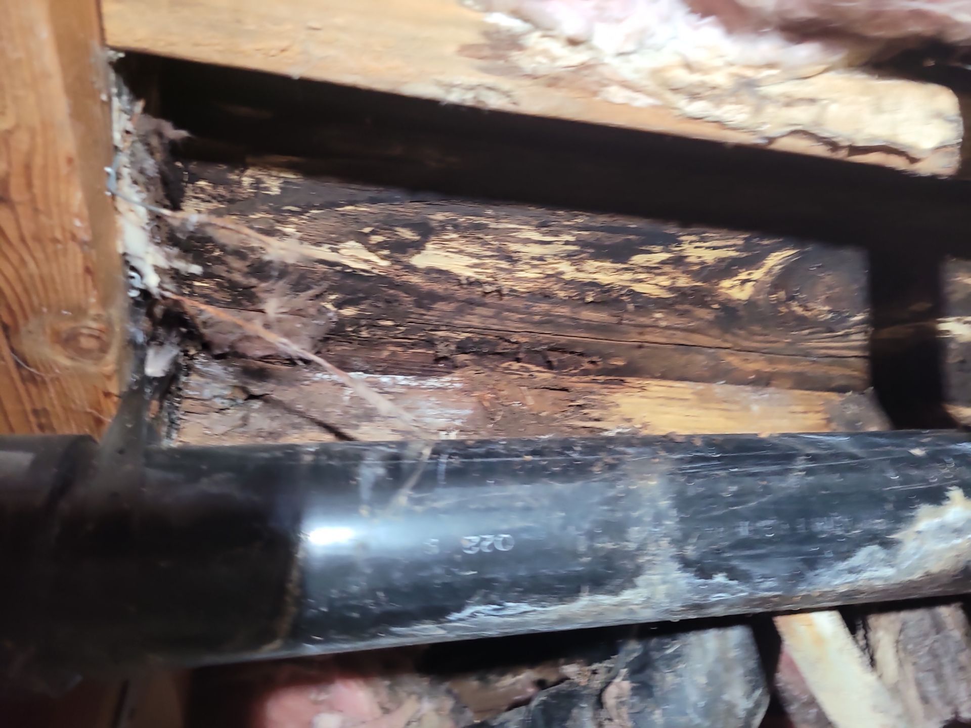 Subfloor Repair / Partial Remodel by McCray's Handyman, Inc.